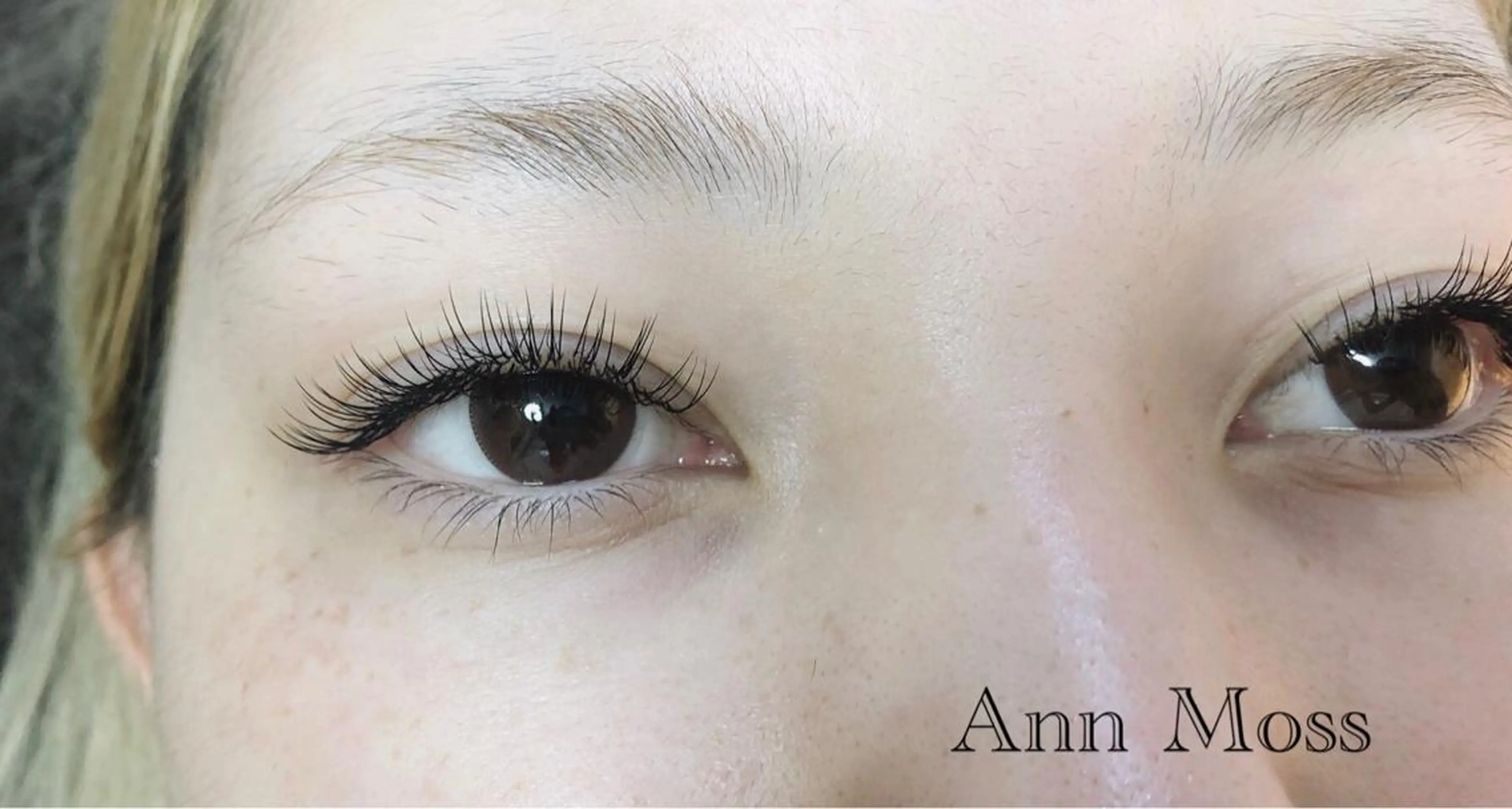 マツエク・マツパ 無料モデル募集中 Ann Mossのマツエク・マツパデザイン
