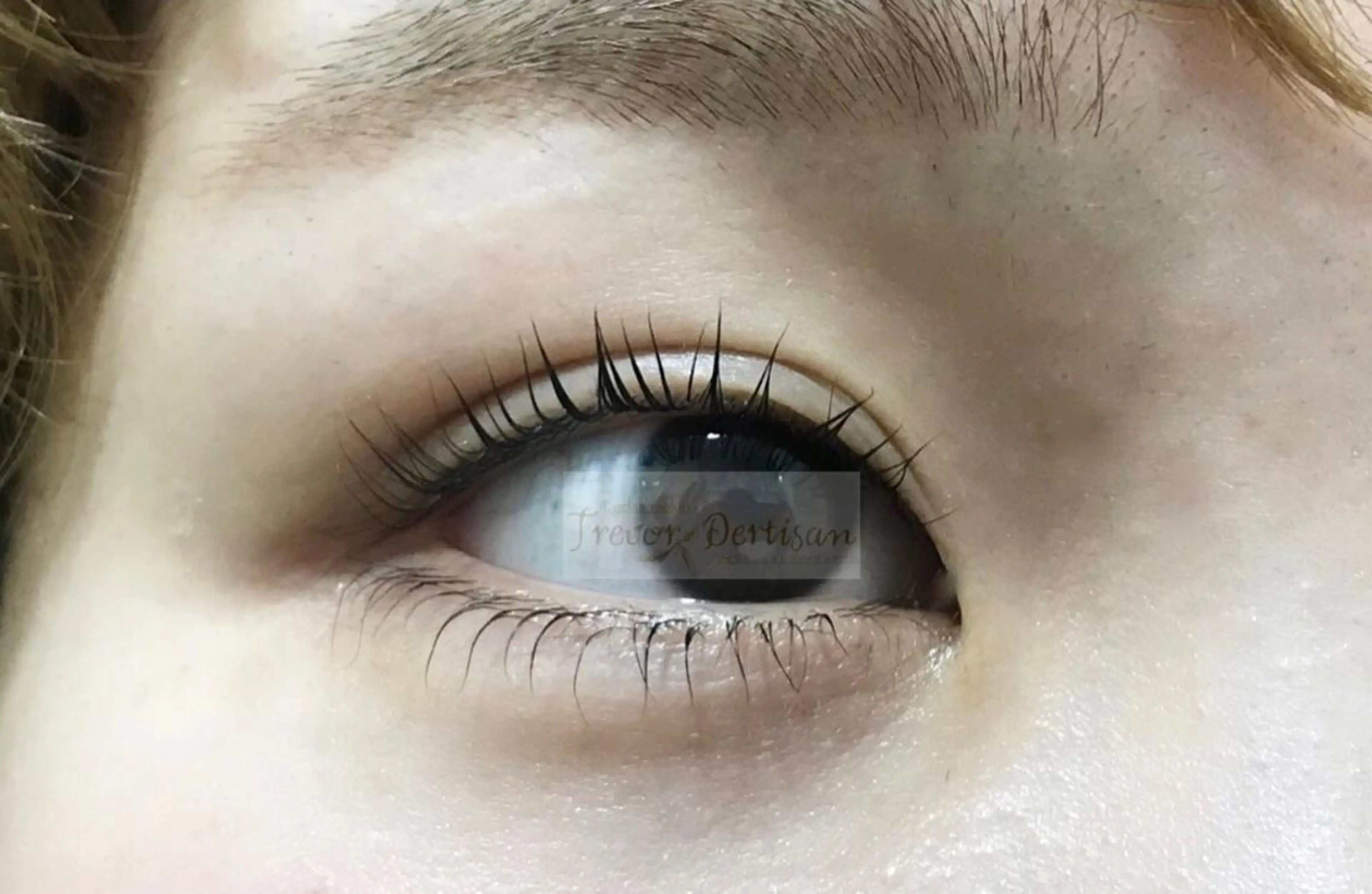 マツエク・マツパ マツパ トレヴァーデルチザン inuiのマツエク・マツパデザイン