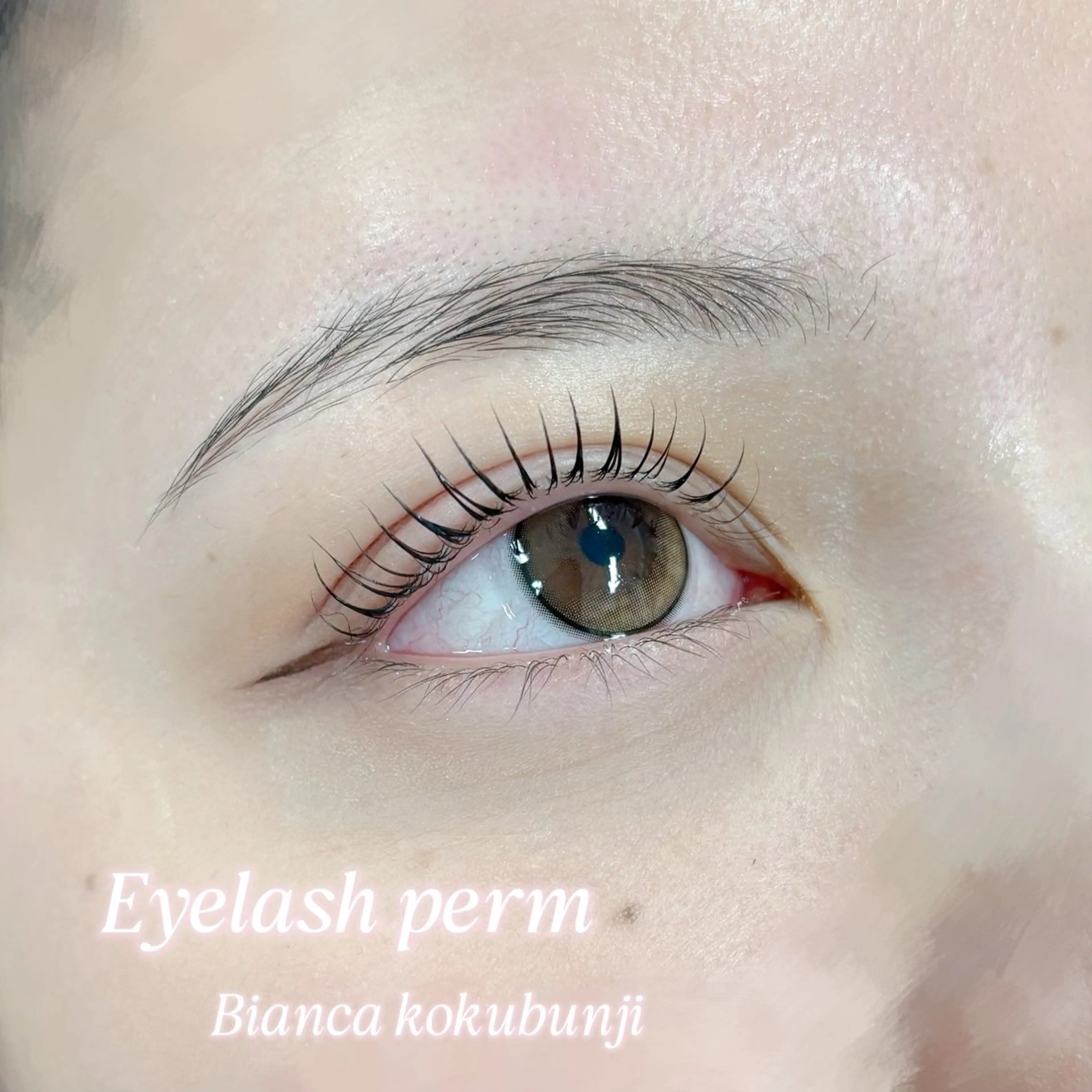 ⟡.*ご新規様限定⟡.*デザイン選べる🪄『まつ毛パーマ上¥3800』 ※⏱45~60分の写真