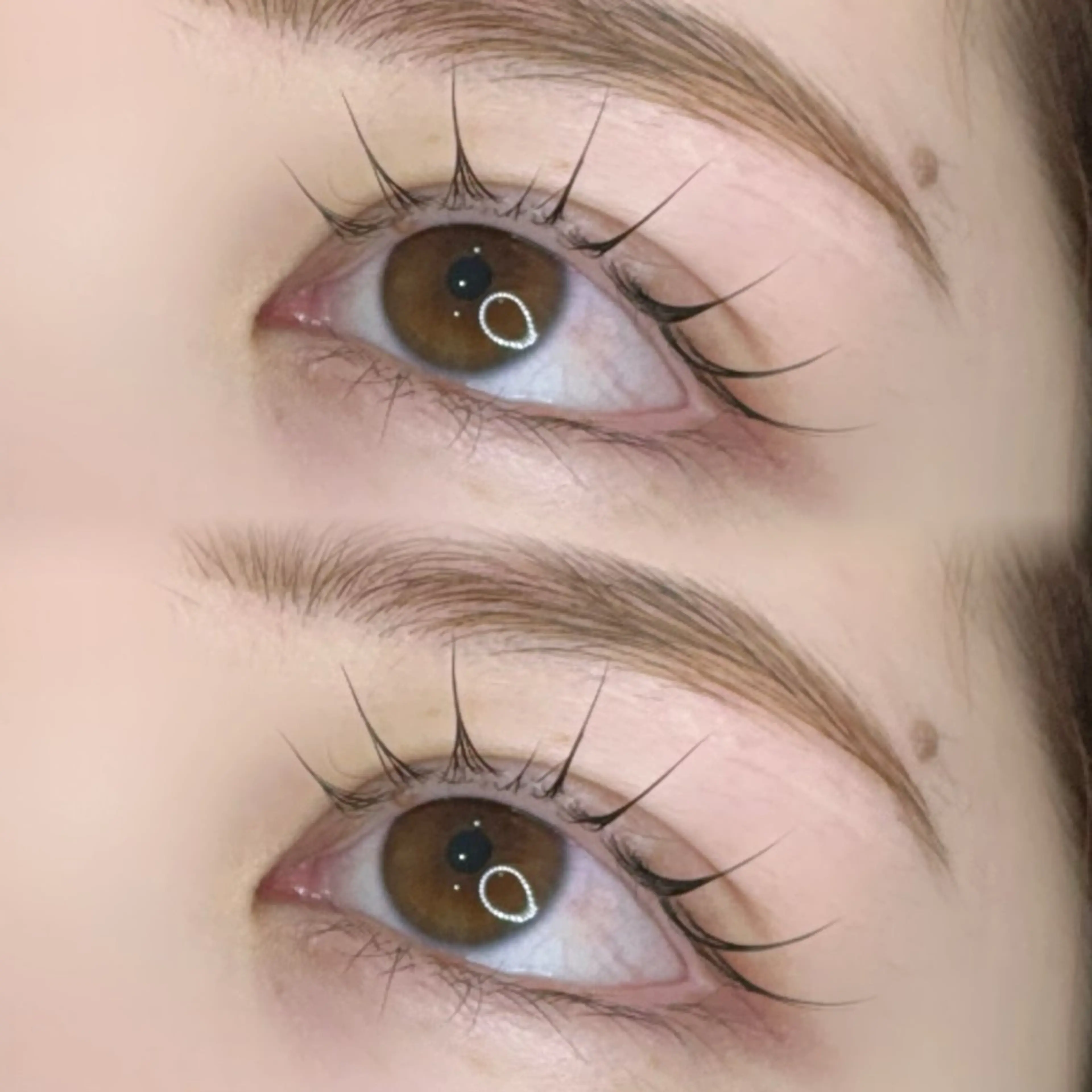 メイク時短🎶眉毛ワックス+束感まつげパーマ(パリジェンヌ可)アイシャンプー付き🐩🩰の写真