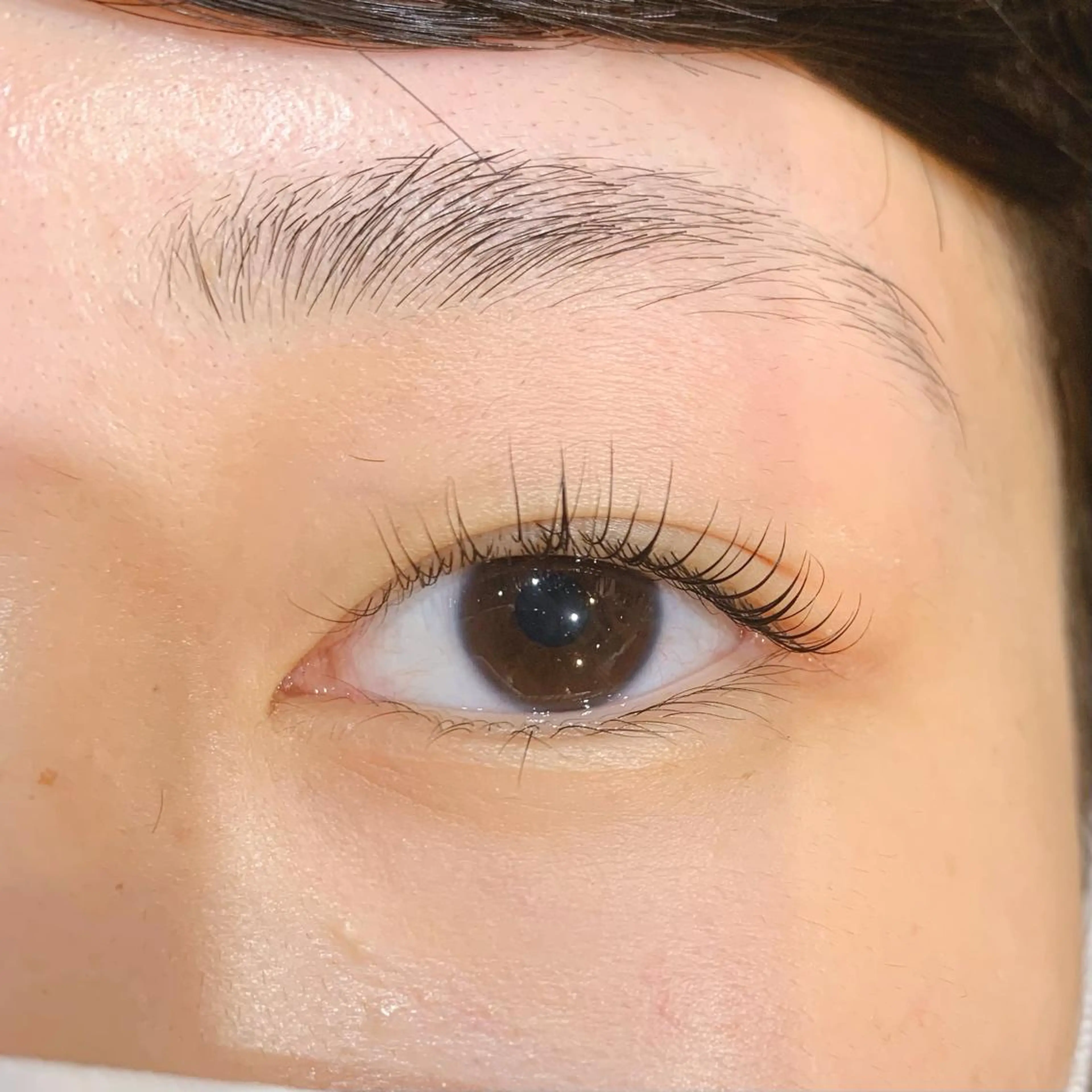 マツエク・マツパ アイブロウ alushe🌼 HIME🌼のマツエク・マツパデザイン