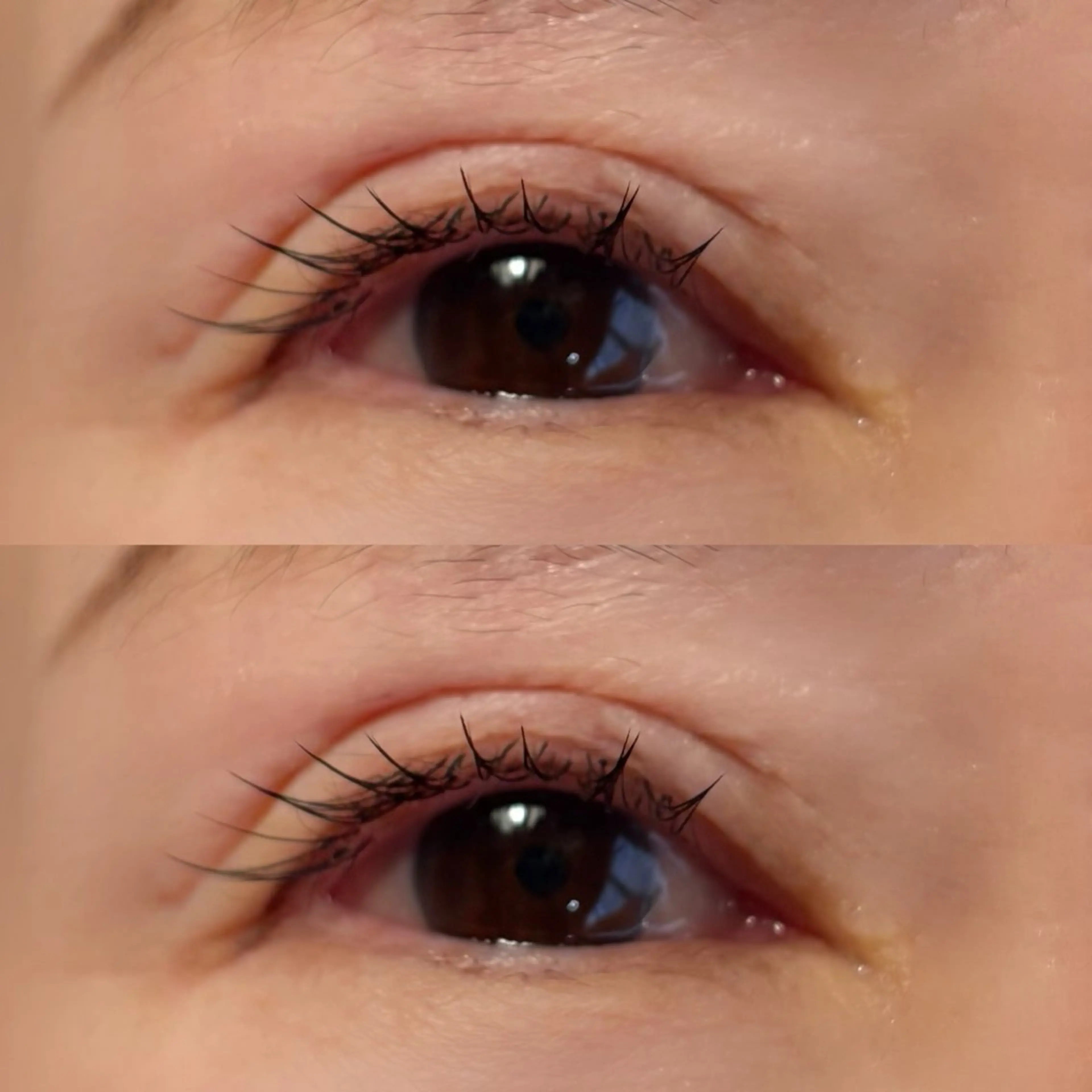 マツエク・マツパ フラットラッシュ Jカール ナチュラル 🍇chinatsu 🍇en Rêveのマツエク・マツパデザイン