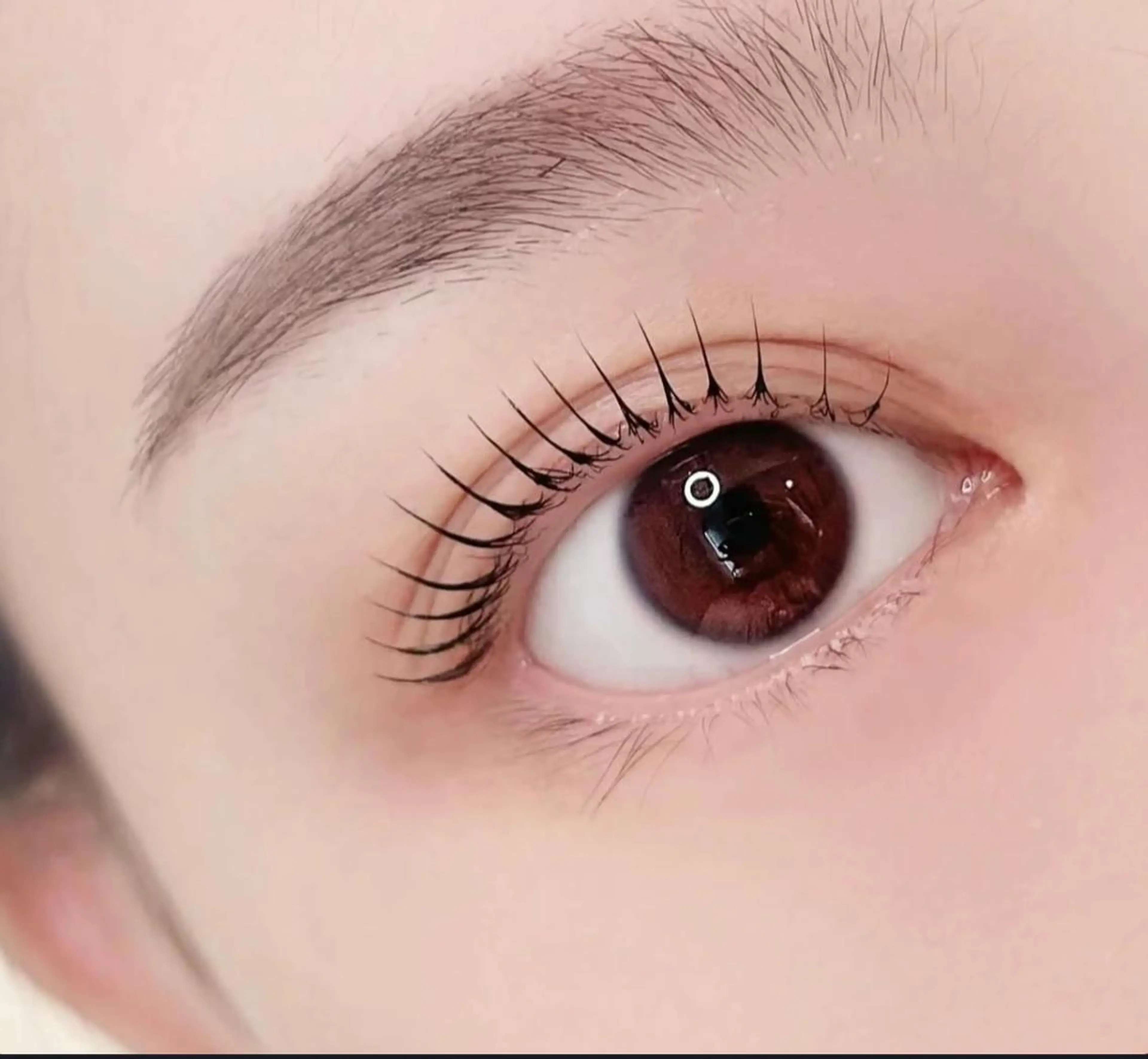 マツエク・マツパ 💫U・mi Daisyのマツエク・マツパデザイン