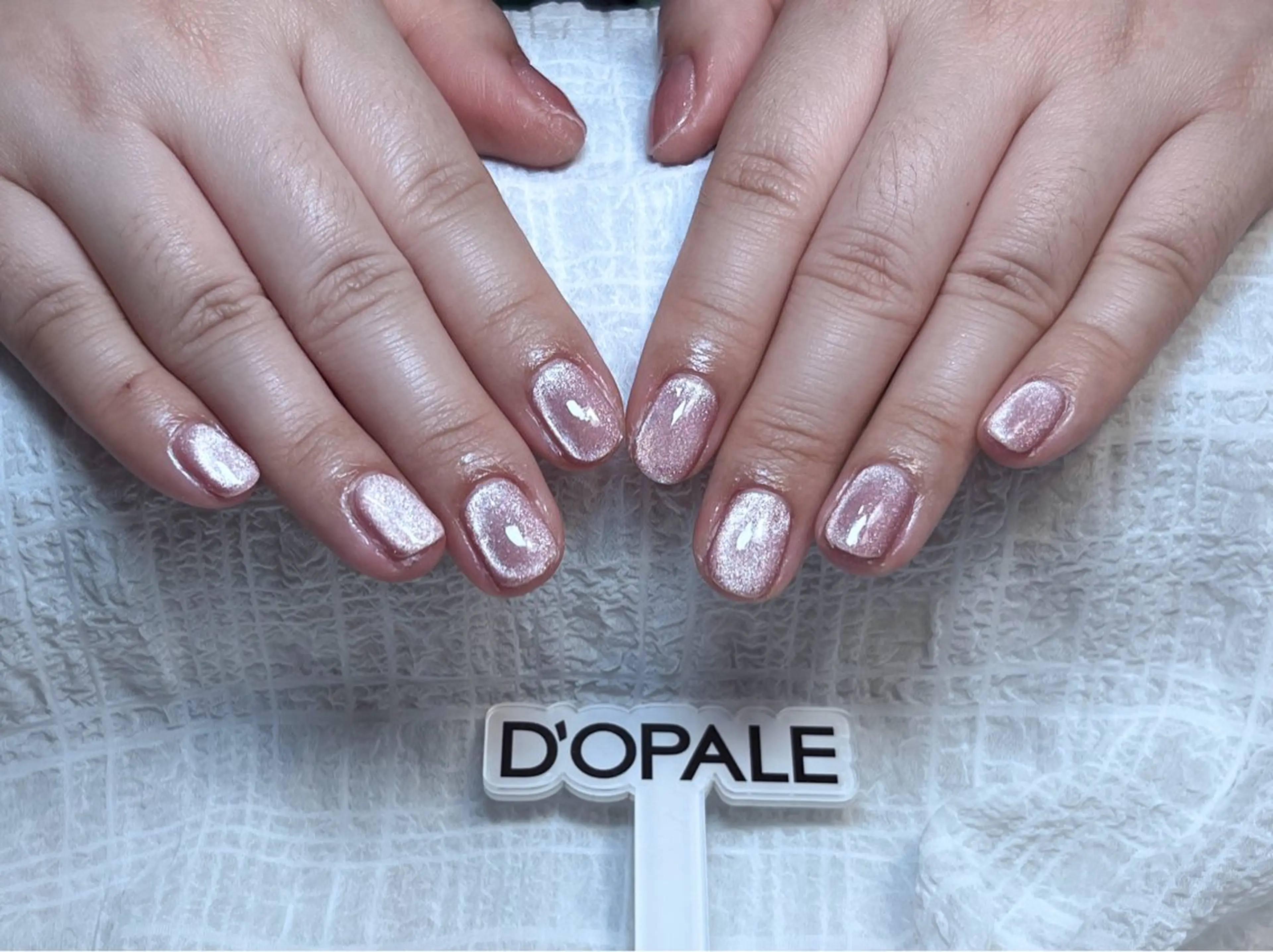 ✨New✨マグネットワンカラーの写真