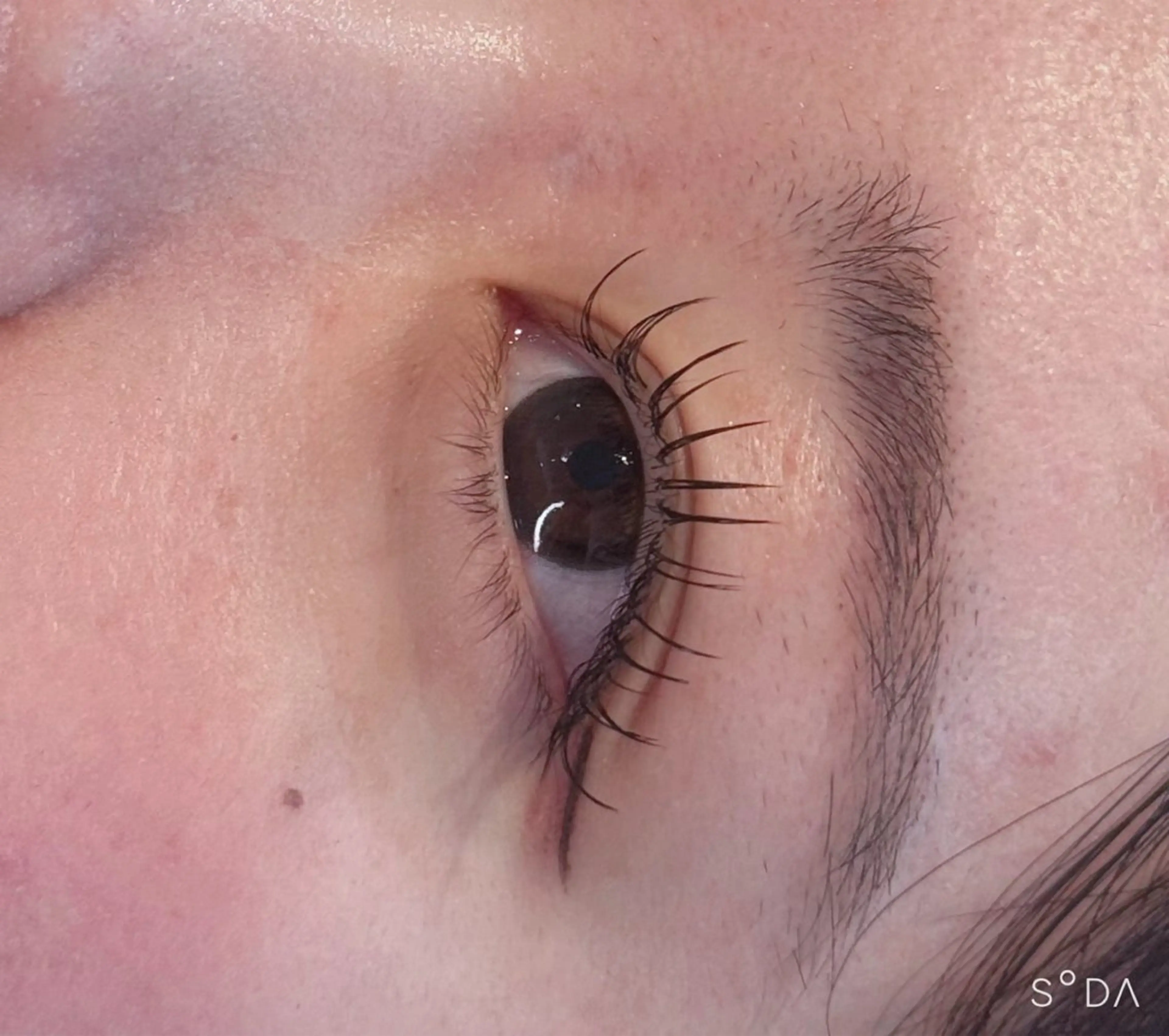 マツエク・マツパ Cカール フラットラッシュ 【eight eye lash】カワダ🫧のマツエク・マツパデザイン