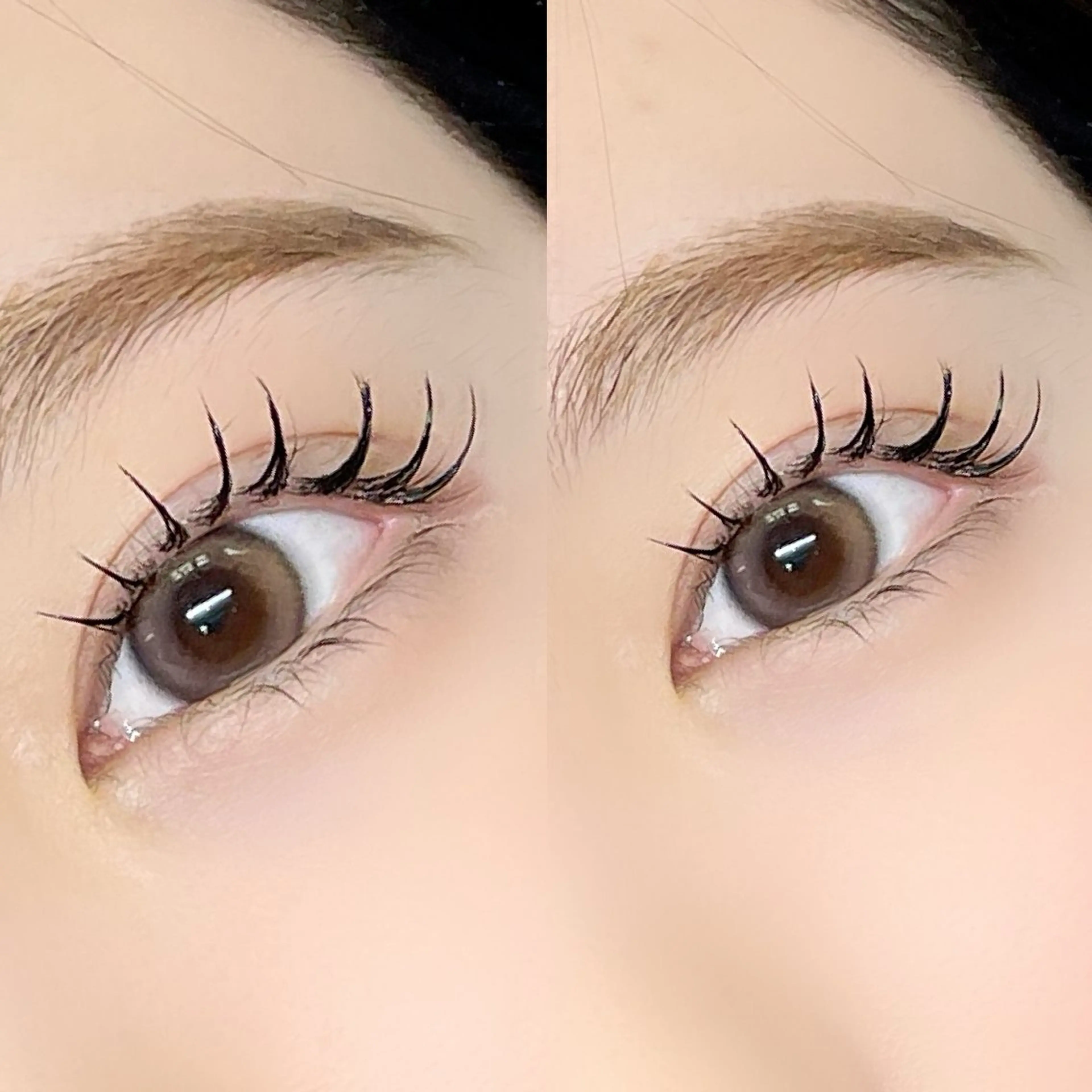 当日限定パリエクの進化版🎀リフエク🎀LEDフラットラッシュ120本+ラッシュリフトの写真