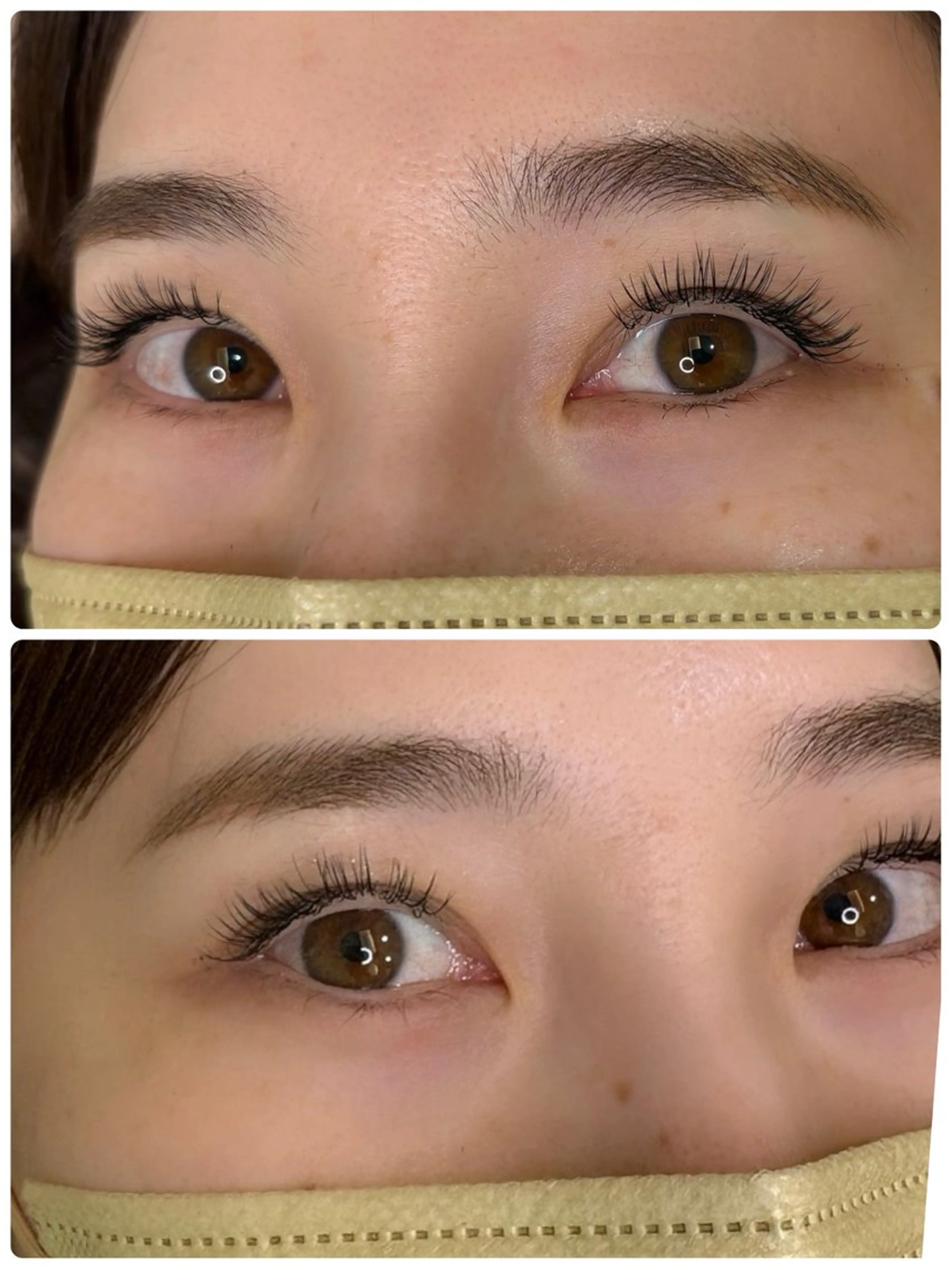 【バインドロック】お試し!✨40束までの写真