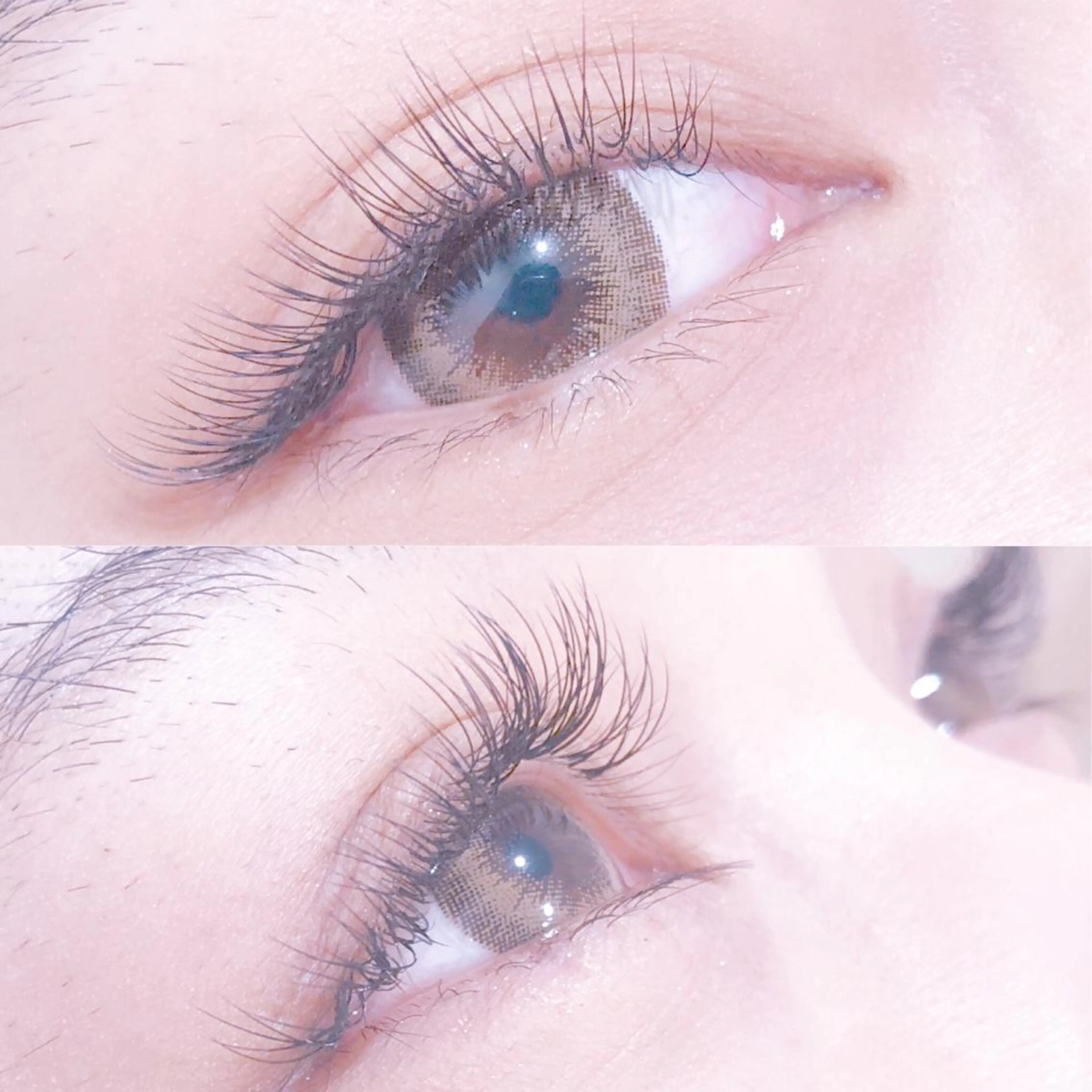 【ボリュームeye❣️】高級セーブルエクステ付け放題⭐の写真