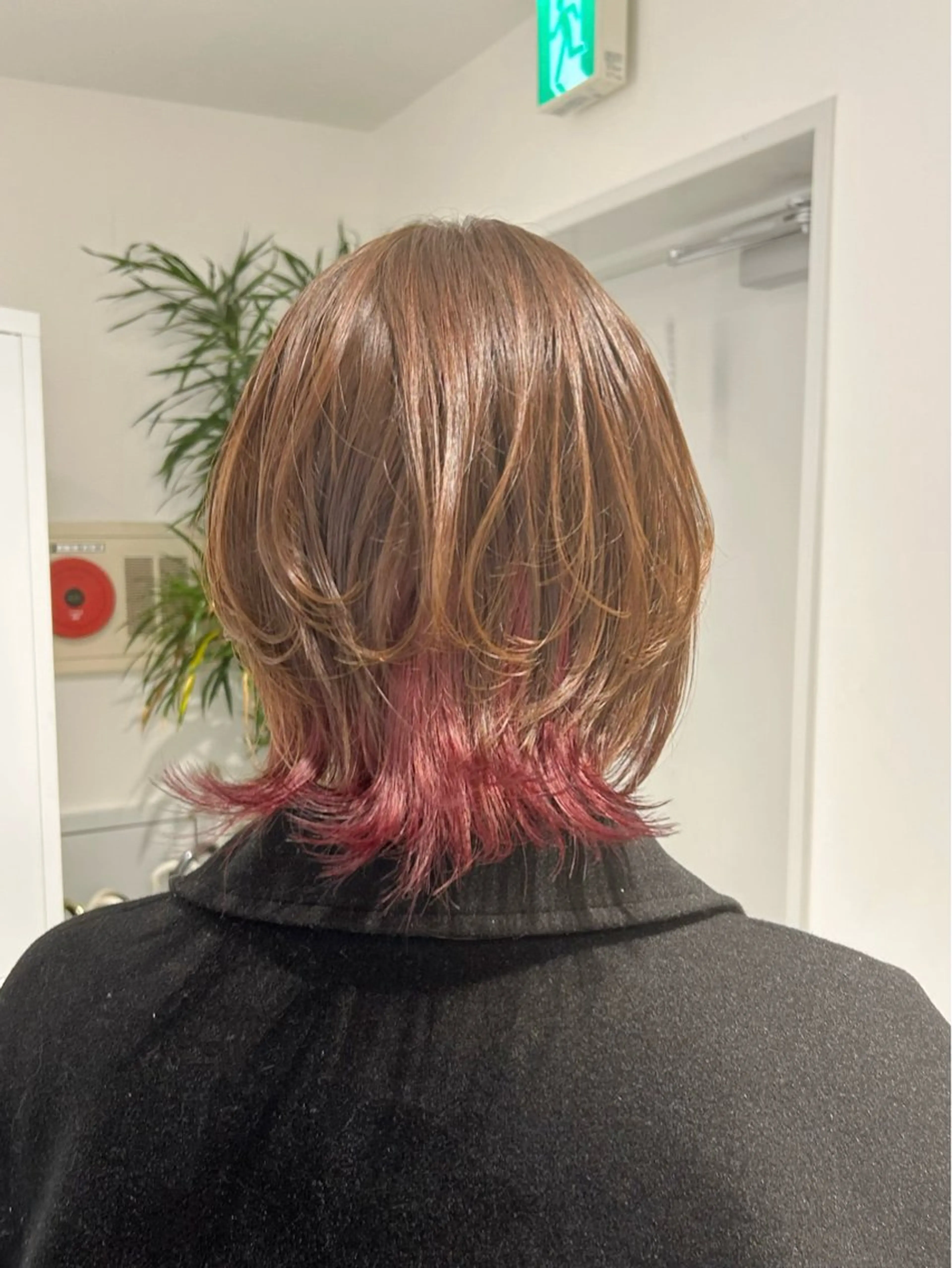 ミディアム カラー インナーカラー ボブ ウルフカット カット ヘアカラー トリートメント 池袋/レイヤー/ 顔まわり/taigaのヘアスタイル