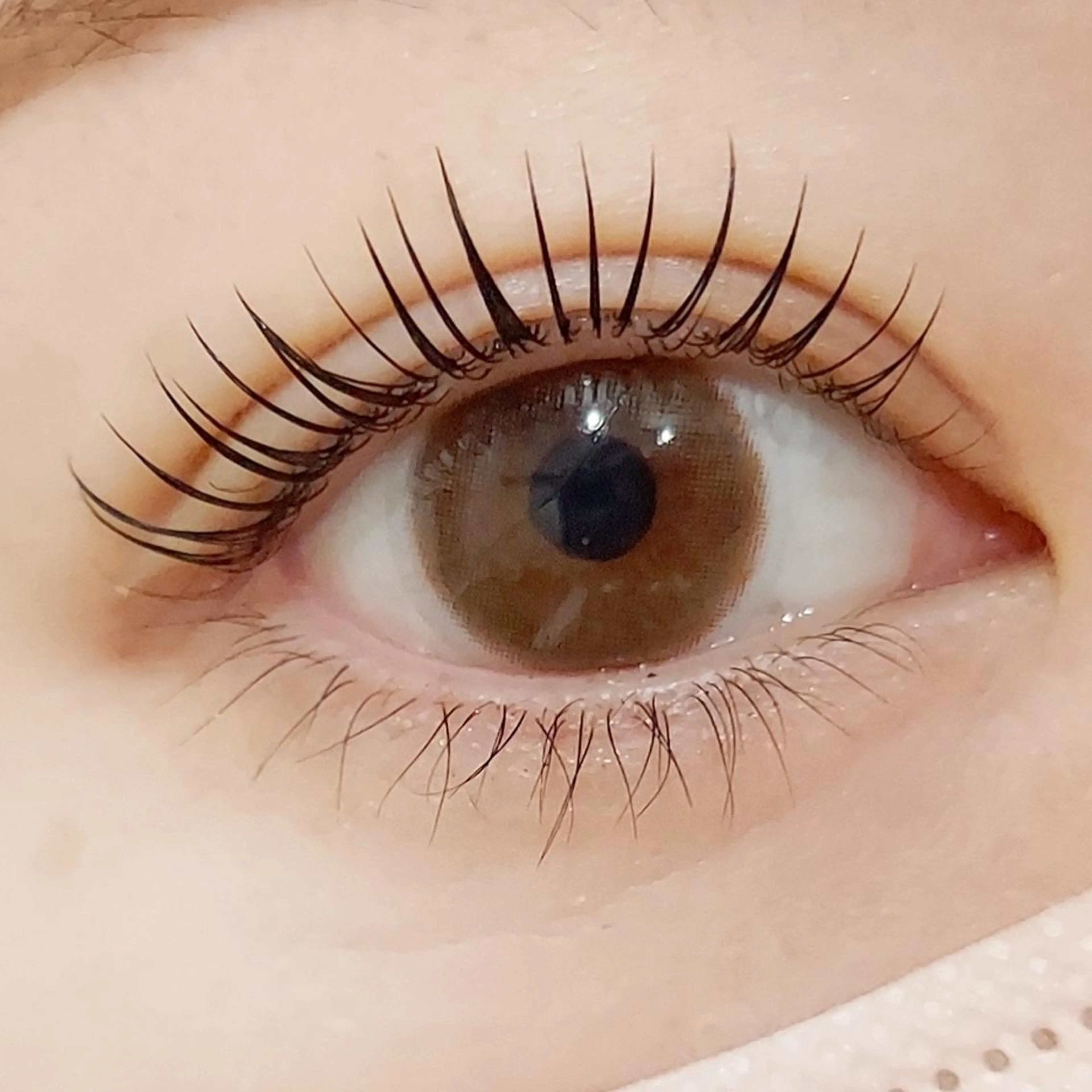 マツエク・マツパ マツパ Chisa【店長】 🌿jolie 栄店のマツエク・マツパデザイン