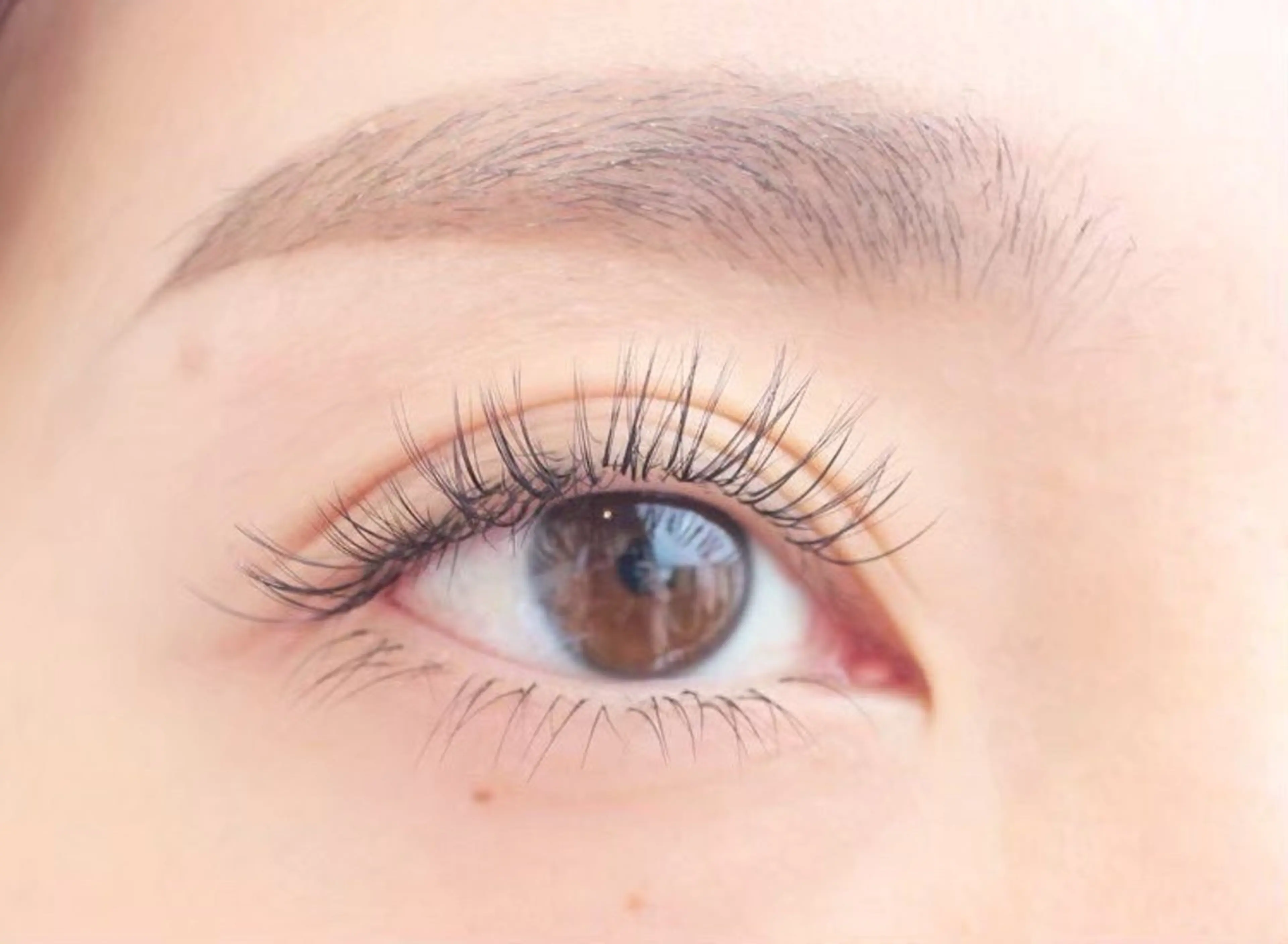 他店付け足し🆗フラットラッシュ30分リペア🩷 (LEDエクステ変更+1000円✨)の写真