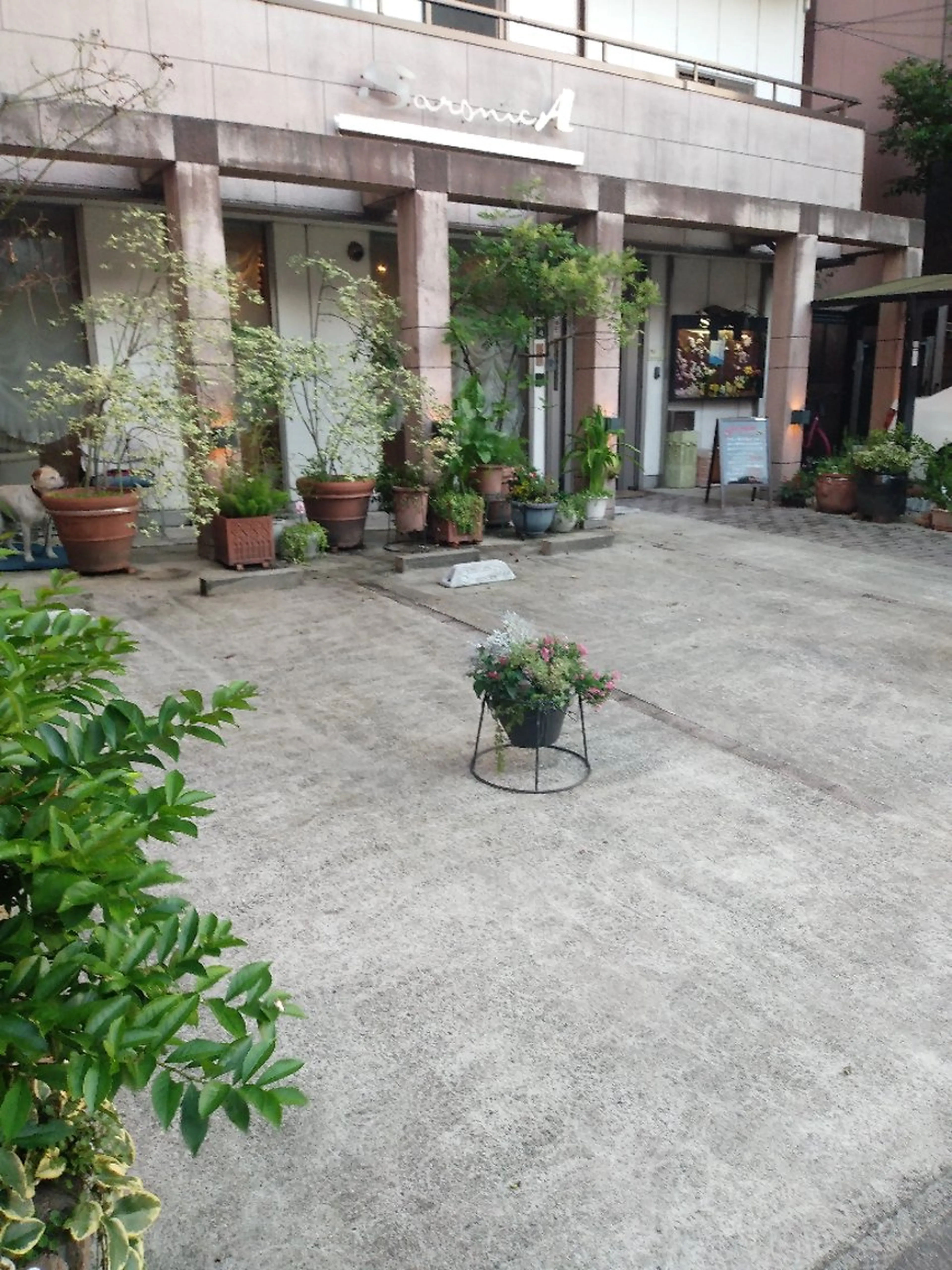 ♡Saronica ♡のマツエク・マツパデザイン