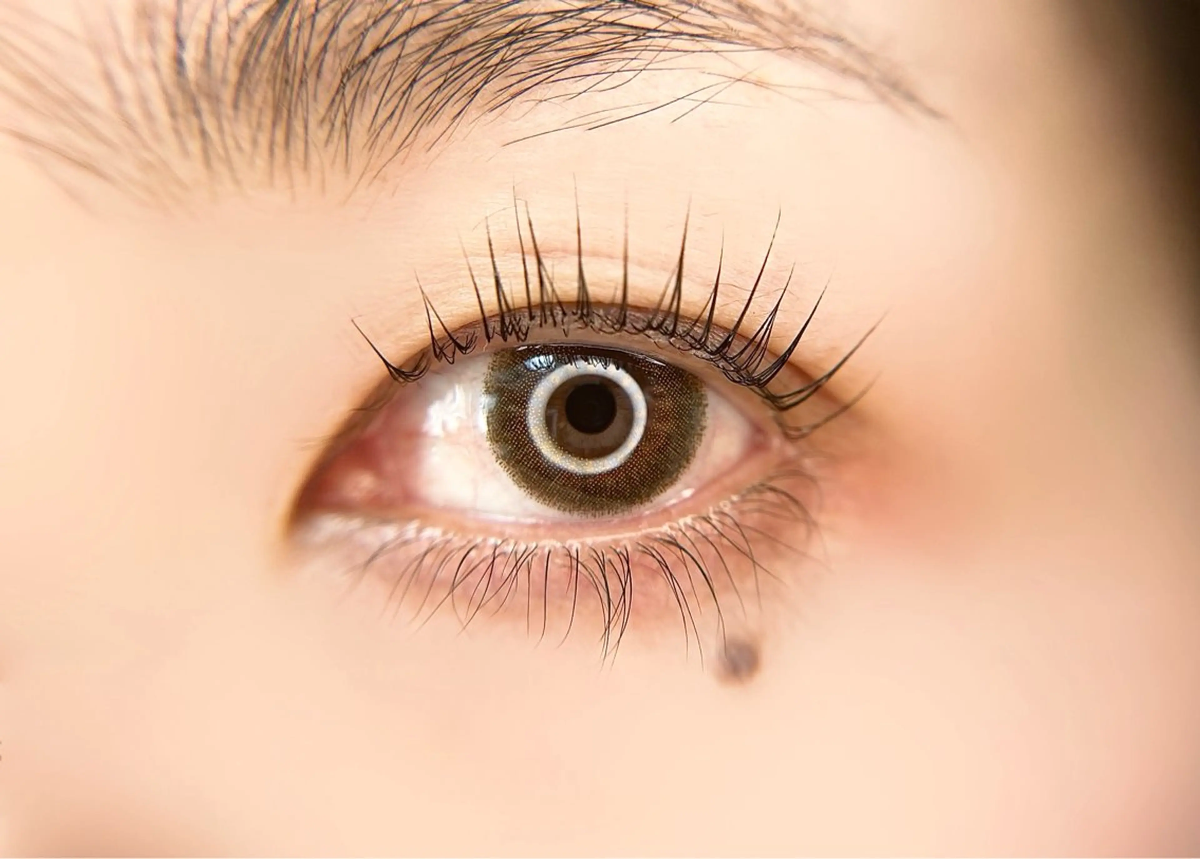 マツエク・マツパ D'OR -ドールのマツエク・マツパデザイン