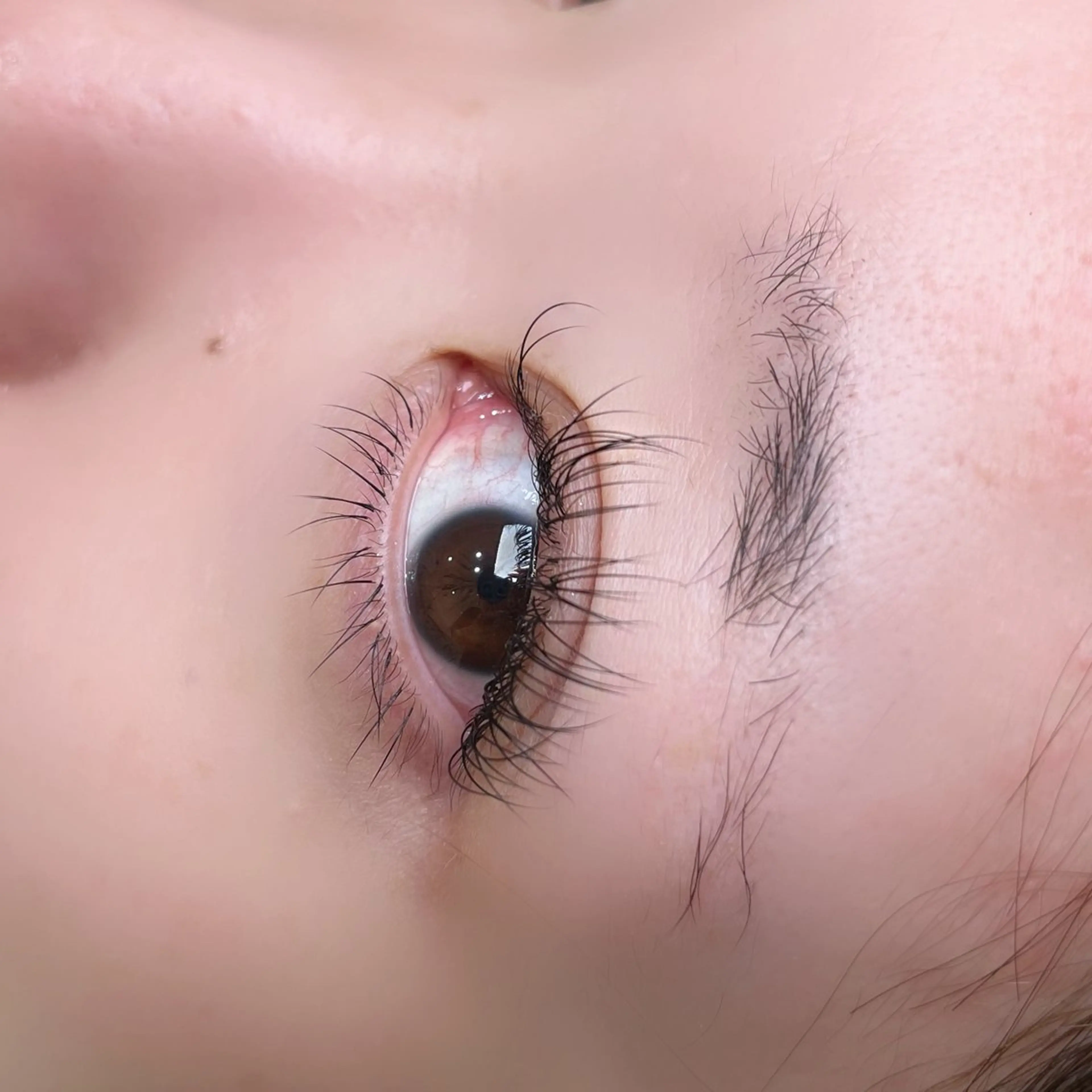 マツエク・マツパ 下まつげエクステ SourCil 💜 Aimiの眉毛・アイブロウイメージ