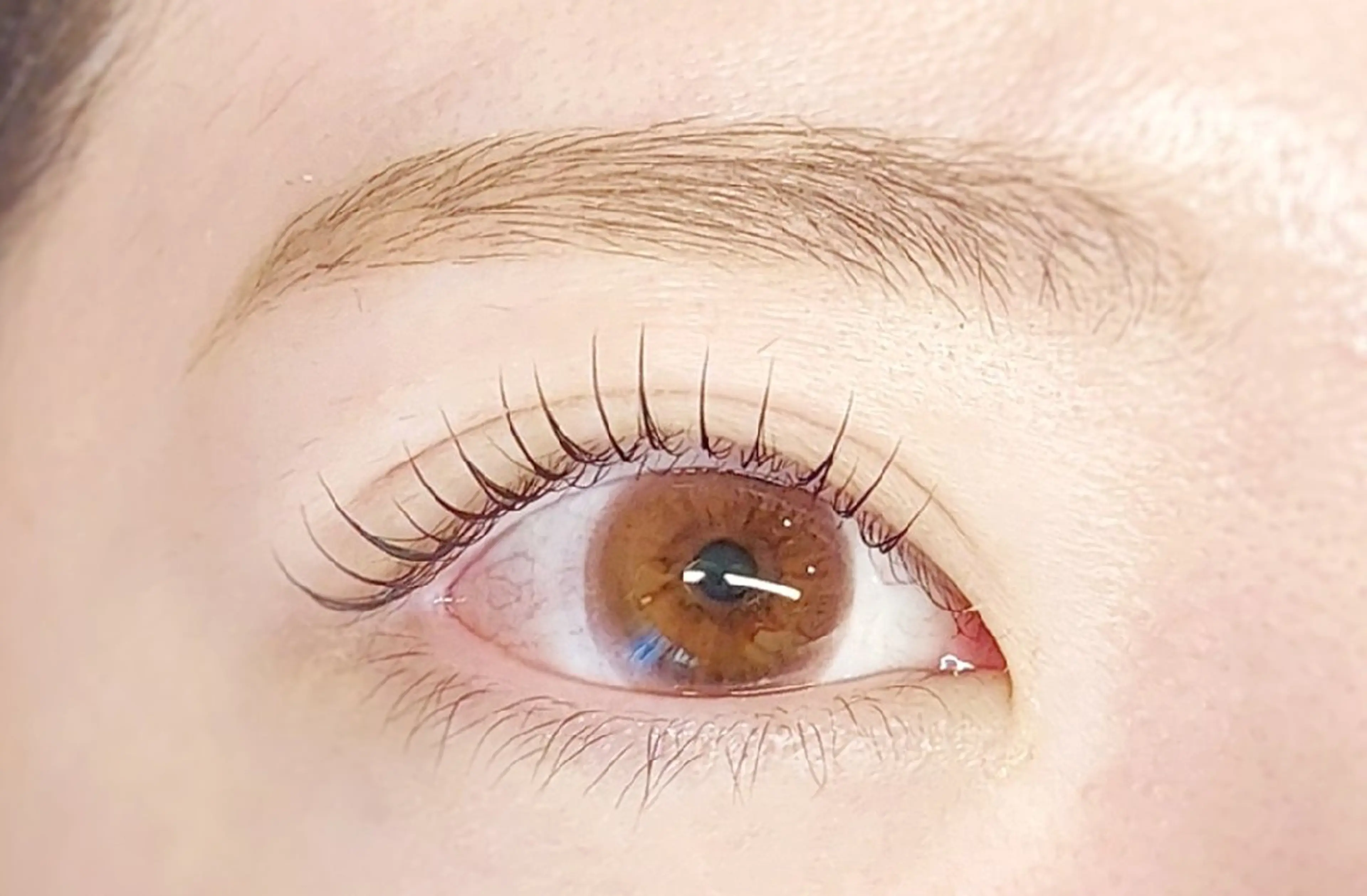 マツエク・マツパ マツパ U_la [ウーラ] 片岡の眉毛・アイブロウイメージ