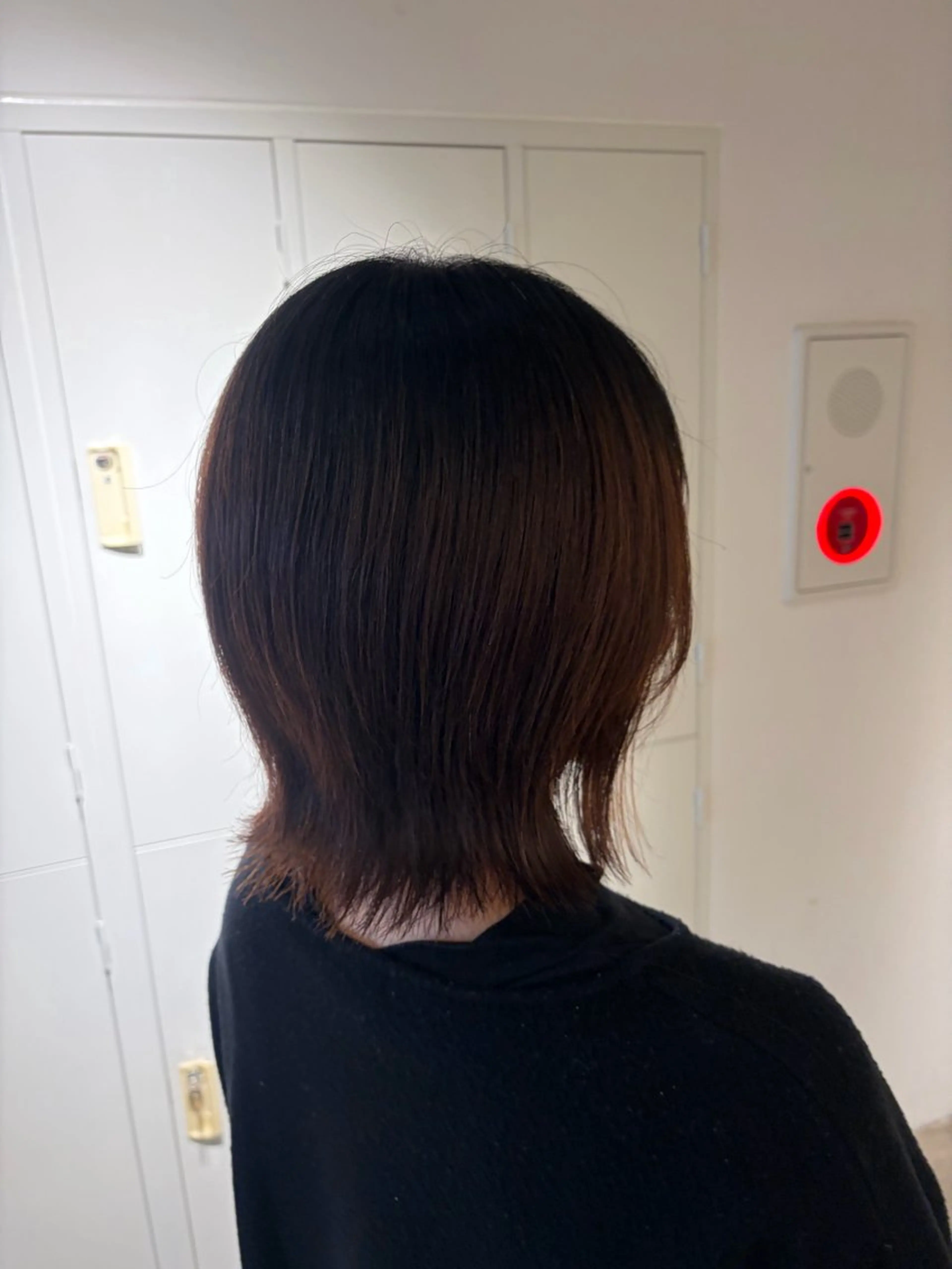 ミディアム 笹野 日麻莉のヘアスタイル