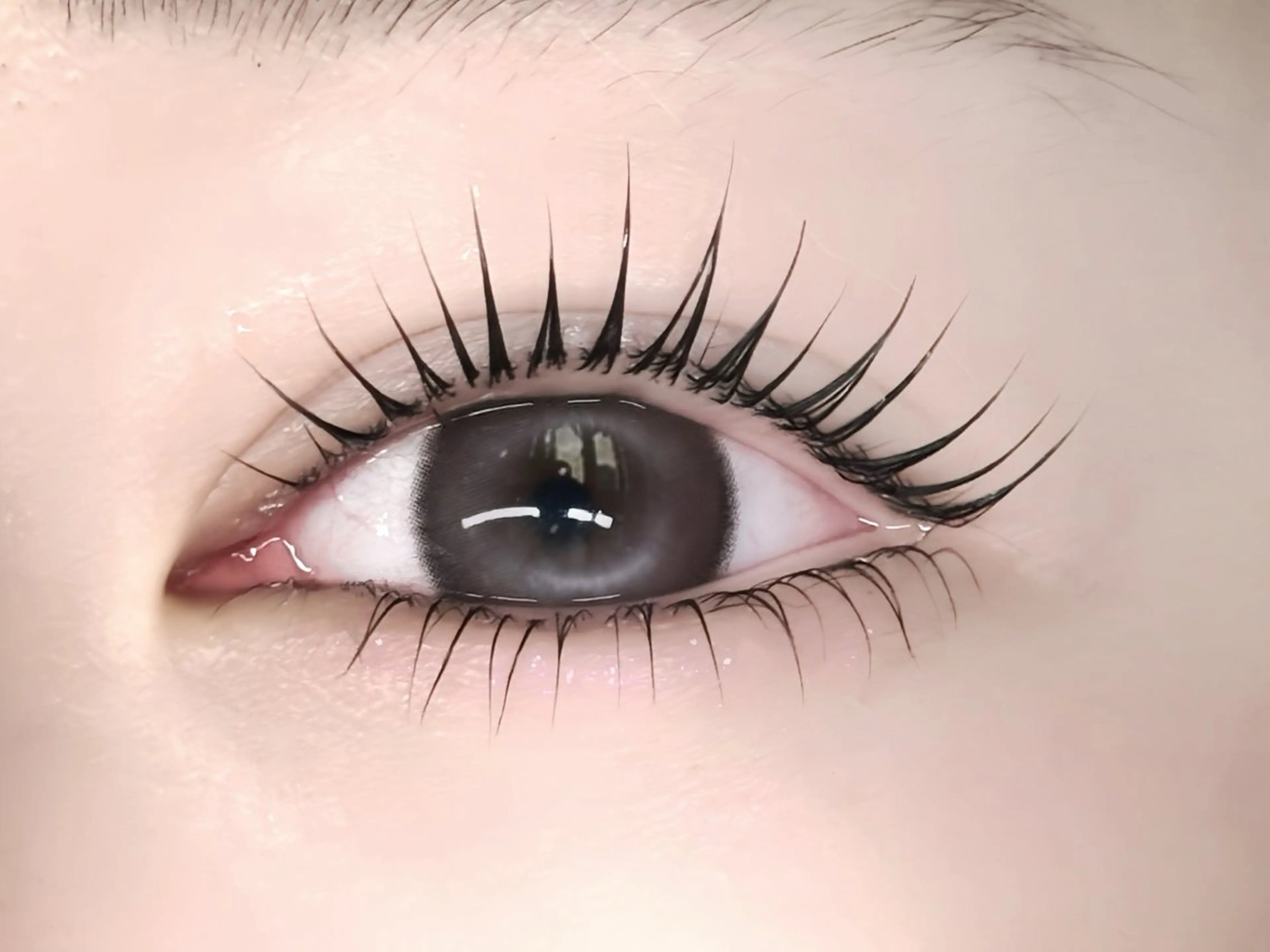 マツエク・マツパ 韓国風マツエク まつげパーマ 下まつげエクステ マツパ 🩶LED＆ダブル フラットRAN🪽のマツエク・マツパデザイン