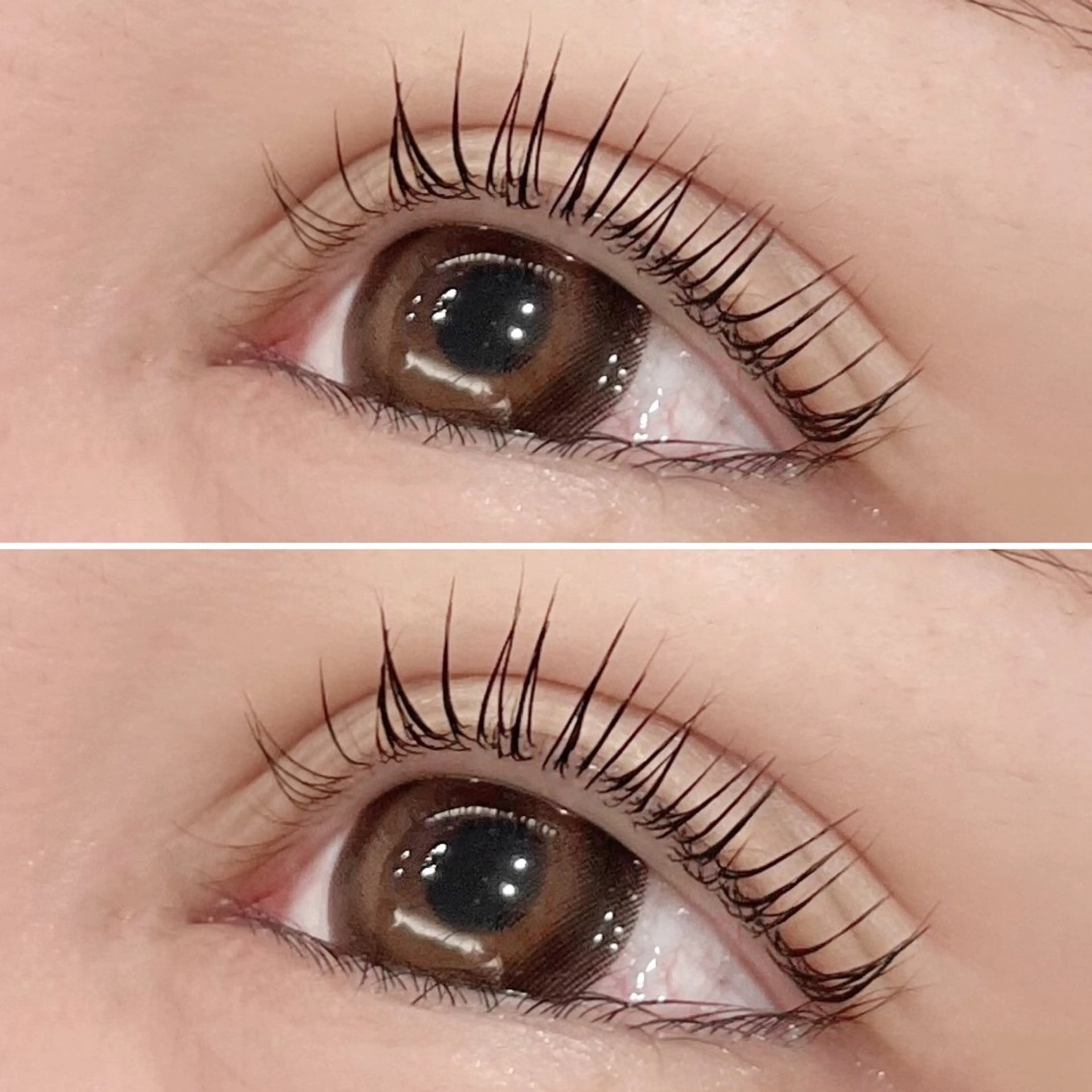 パリジェンヌラッシュリフトの写真