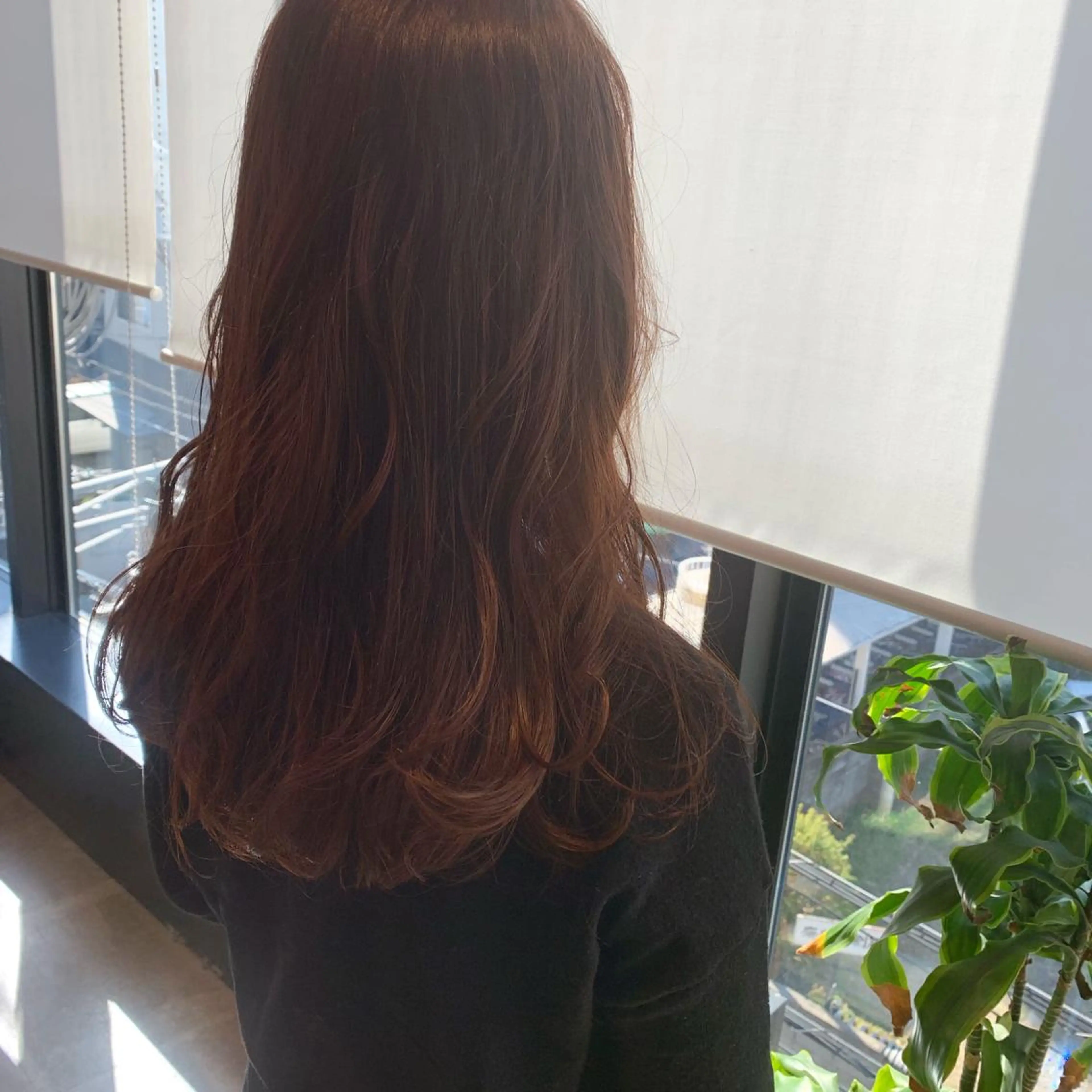 カラー ボブ/暖色/デザイン KOYUKI⛄️のヘアスタイル