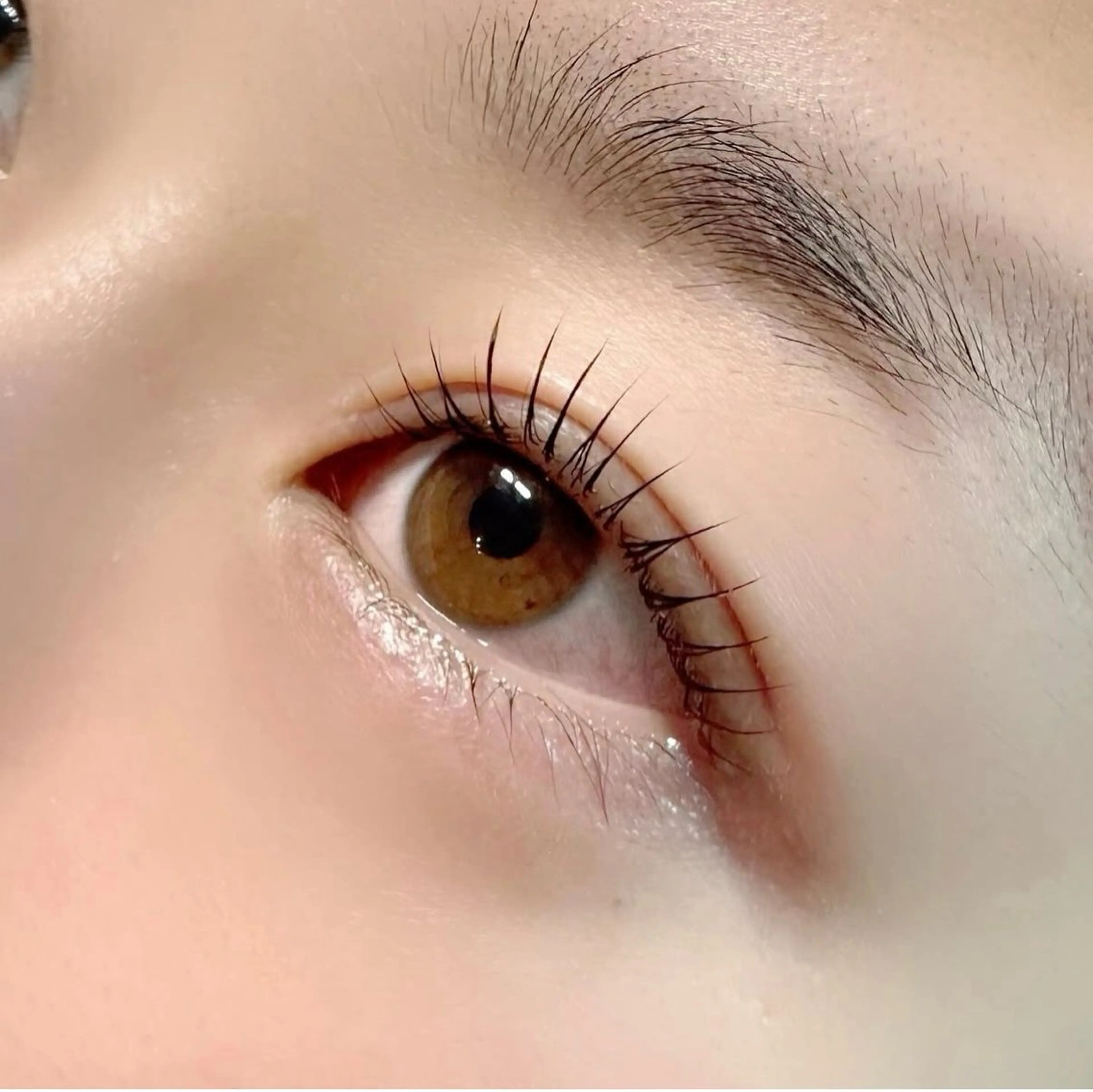 《無料》ラッシュリフト👀💗(注意事項を必ずご確認ください⚠️)の写真