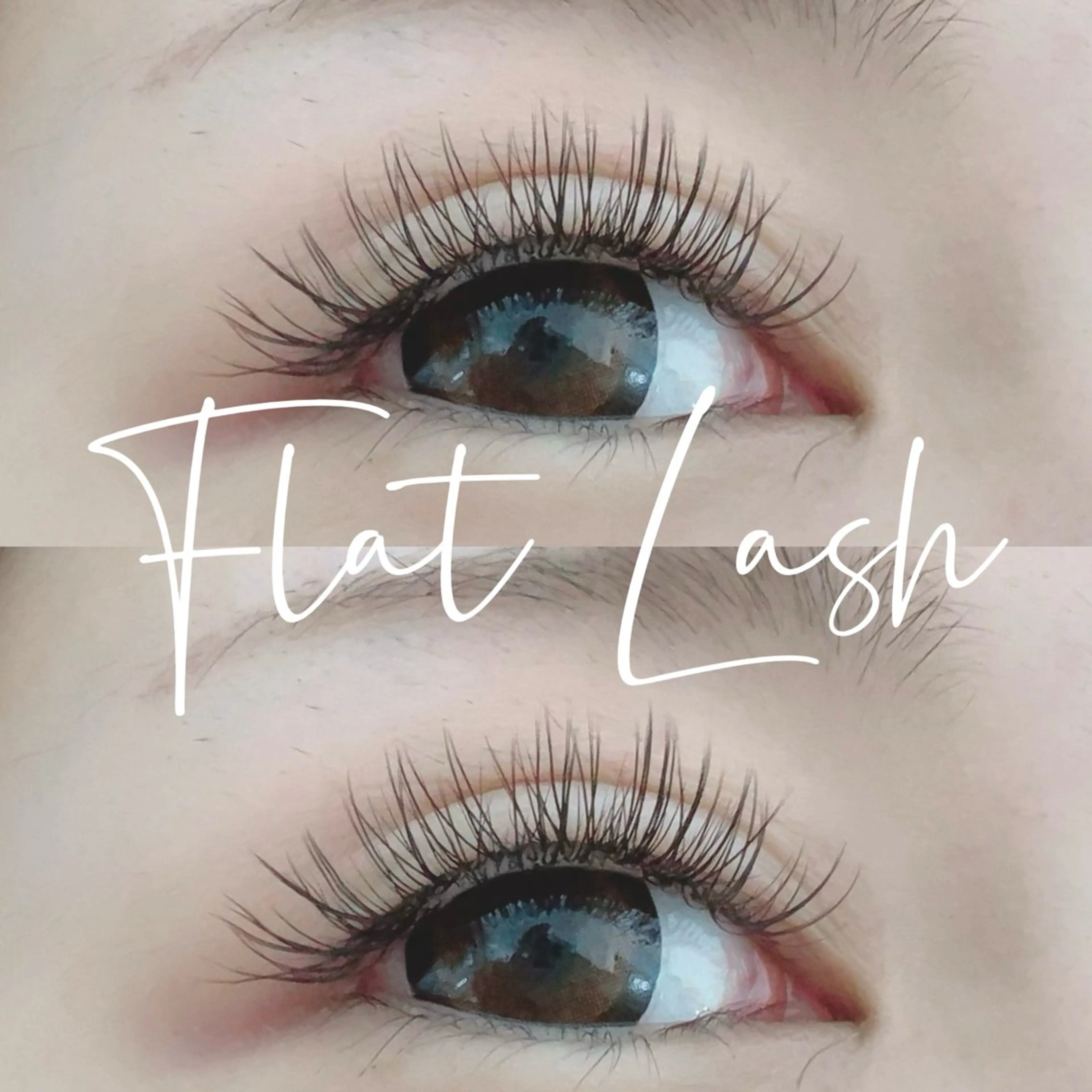 マツエク・マツパ マツエク 【Aile】 YUKAのマツエク・マツパデザイン