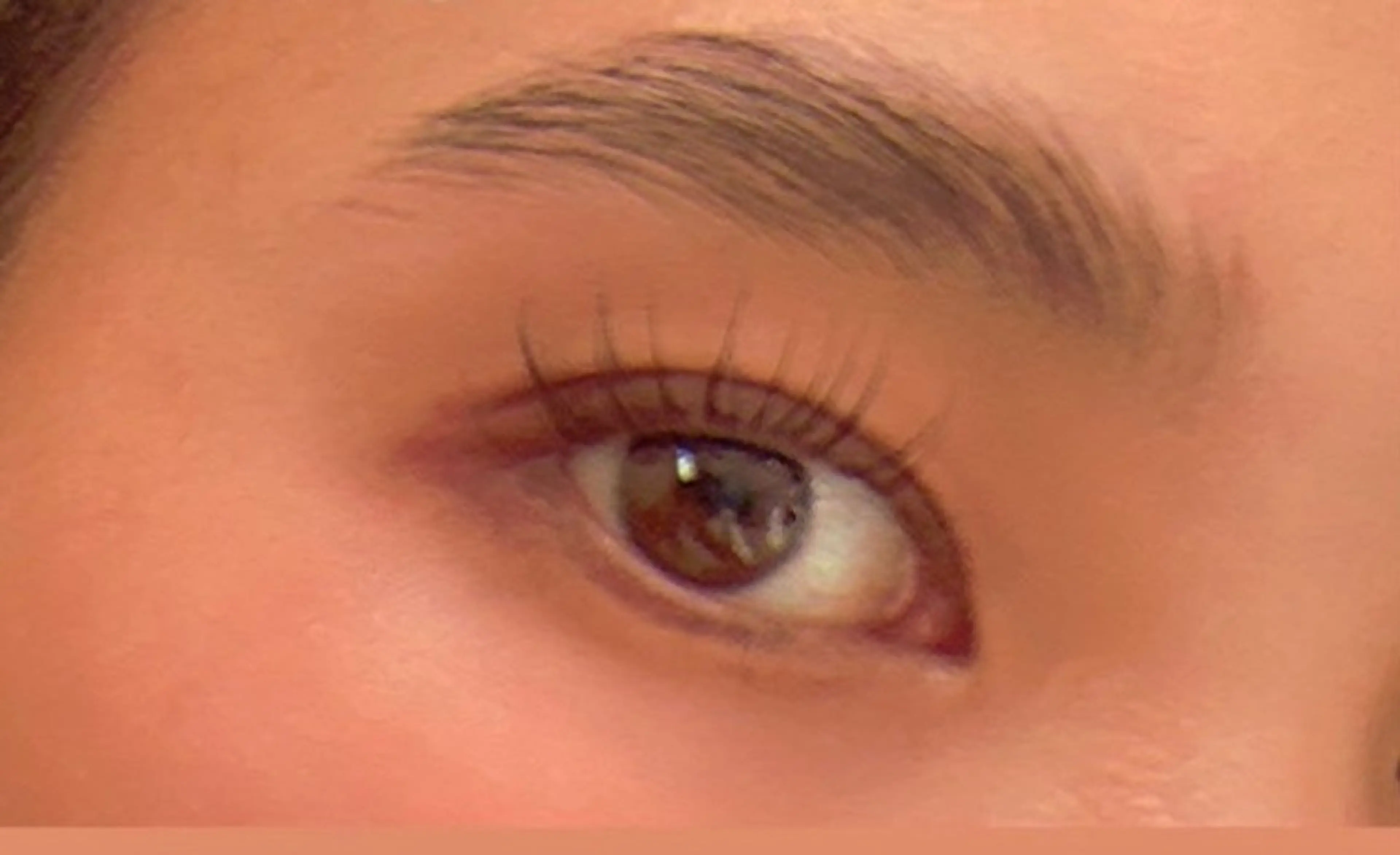 アイブロウ ワックス脱毛 眉カット その他(アイブロウ) Favori 増田のマツエク・マツパデザイン