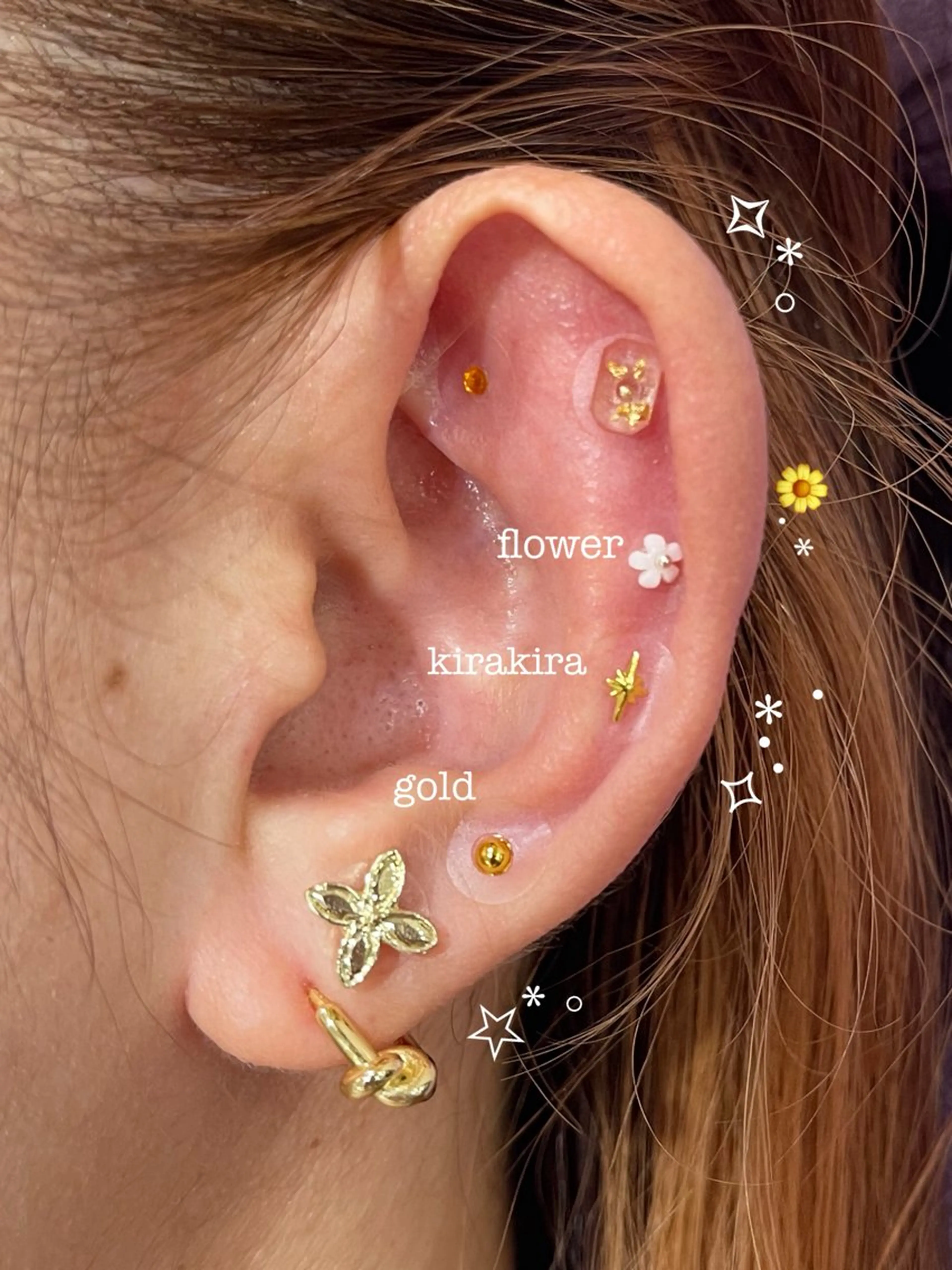 その他 VIVACE YUMEのその他イメージ