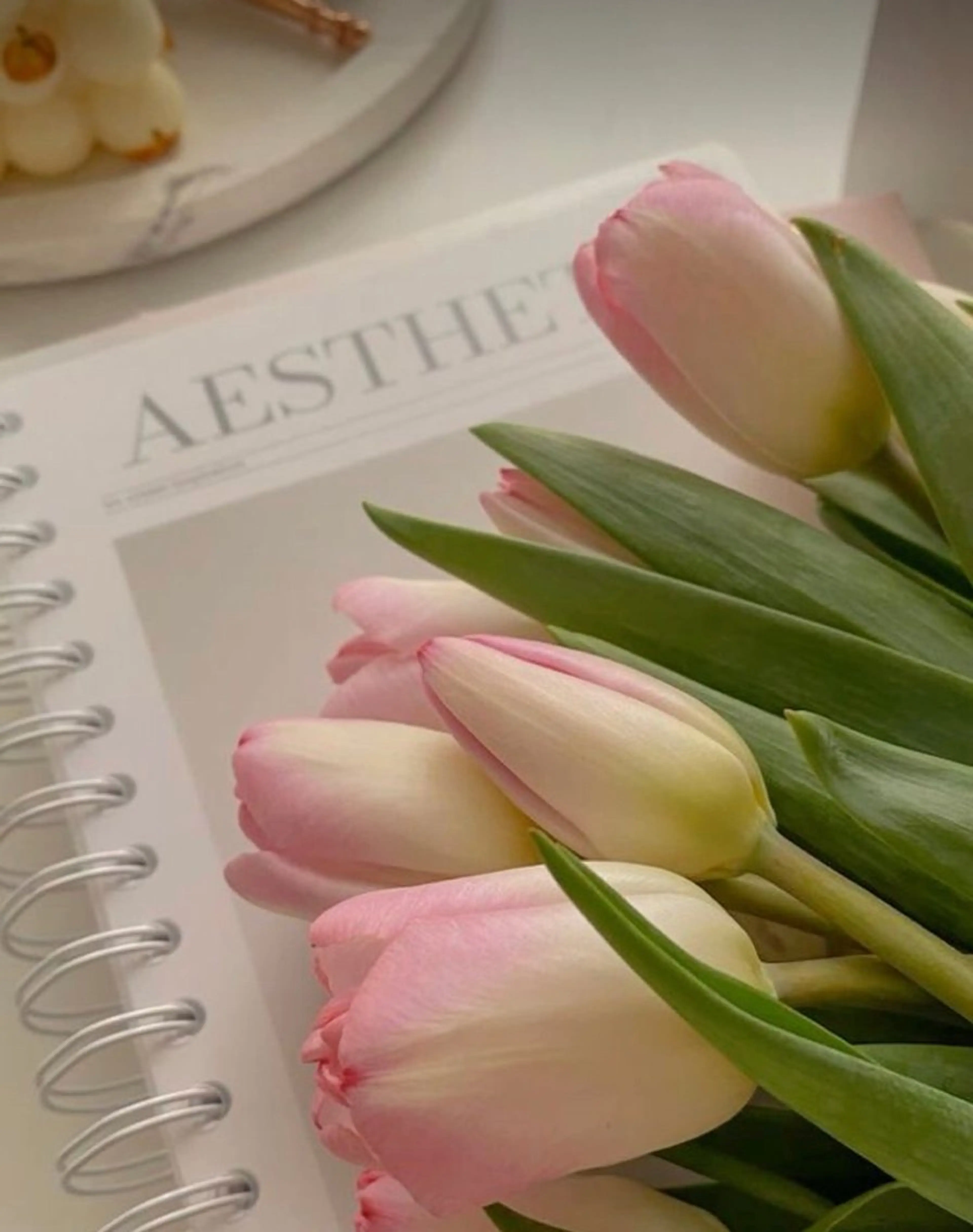 ネイル GinGer nail salonのネイルデザイン