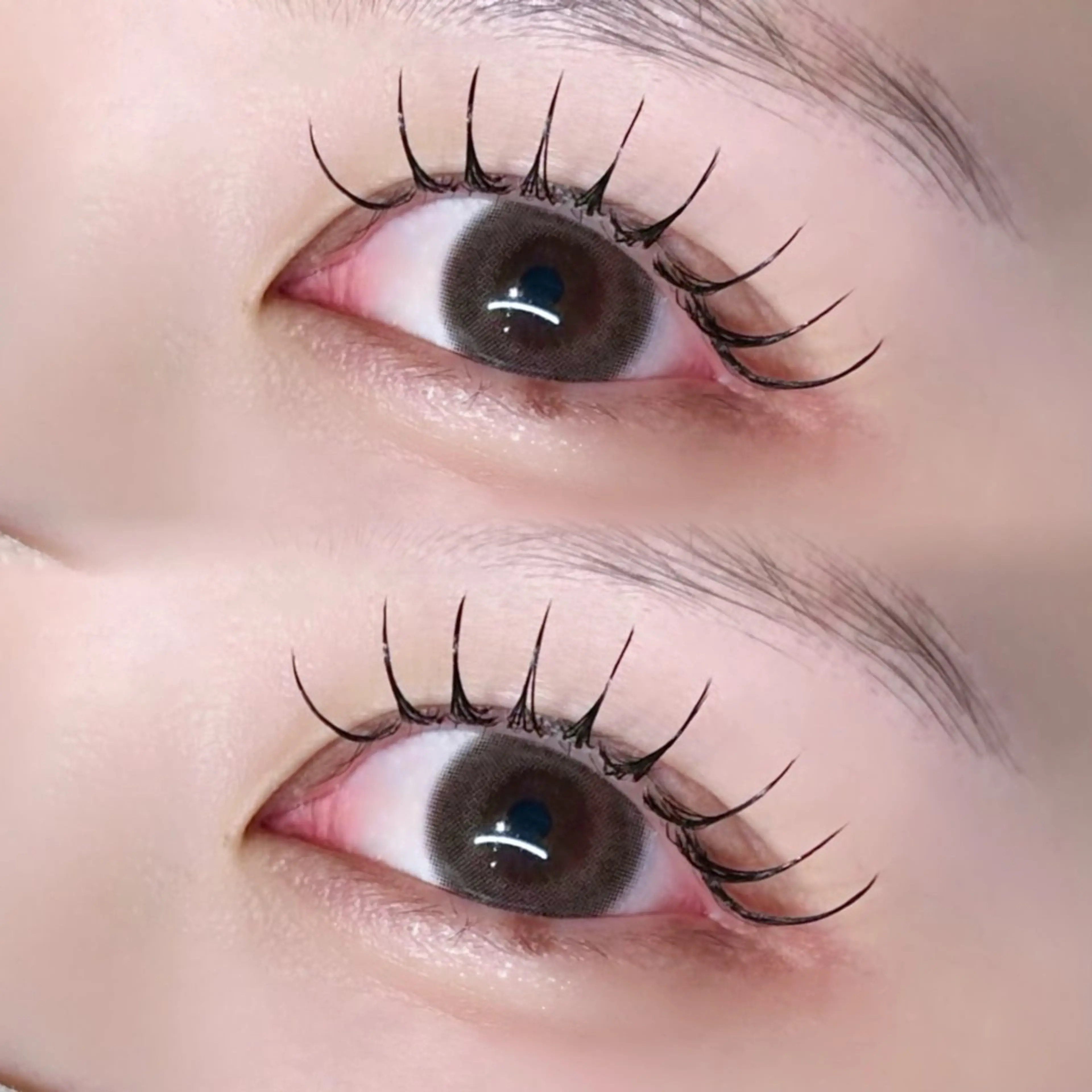 マツエク・マツパ マツエク EYELA熊本 YUIのマツエク・マツパデザイン