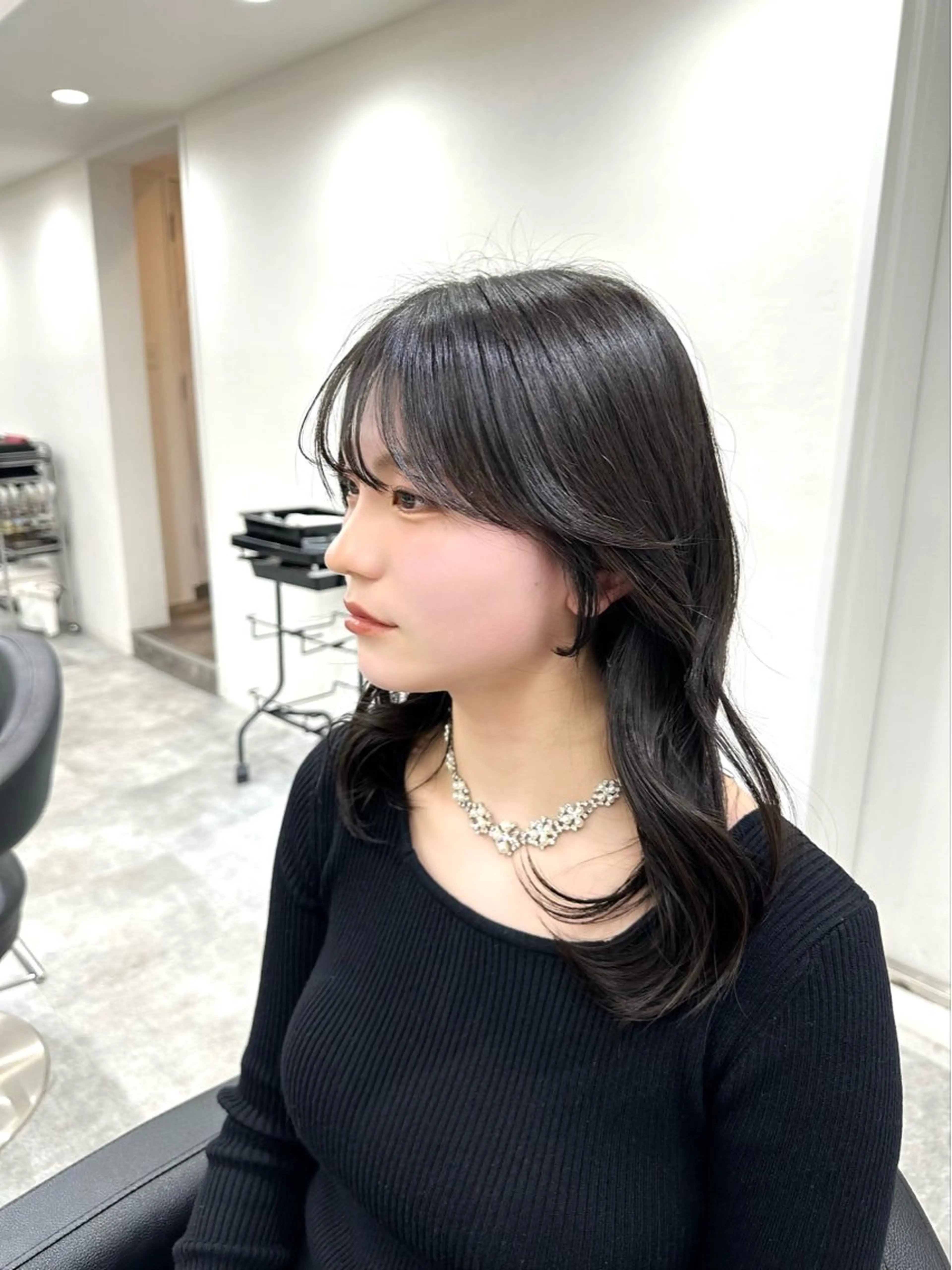 ロング カラー ミディアムレイヤー 添田晃基のヘアスタイル