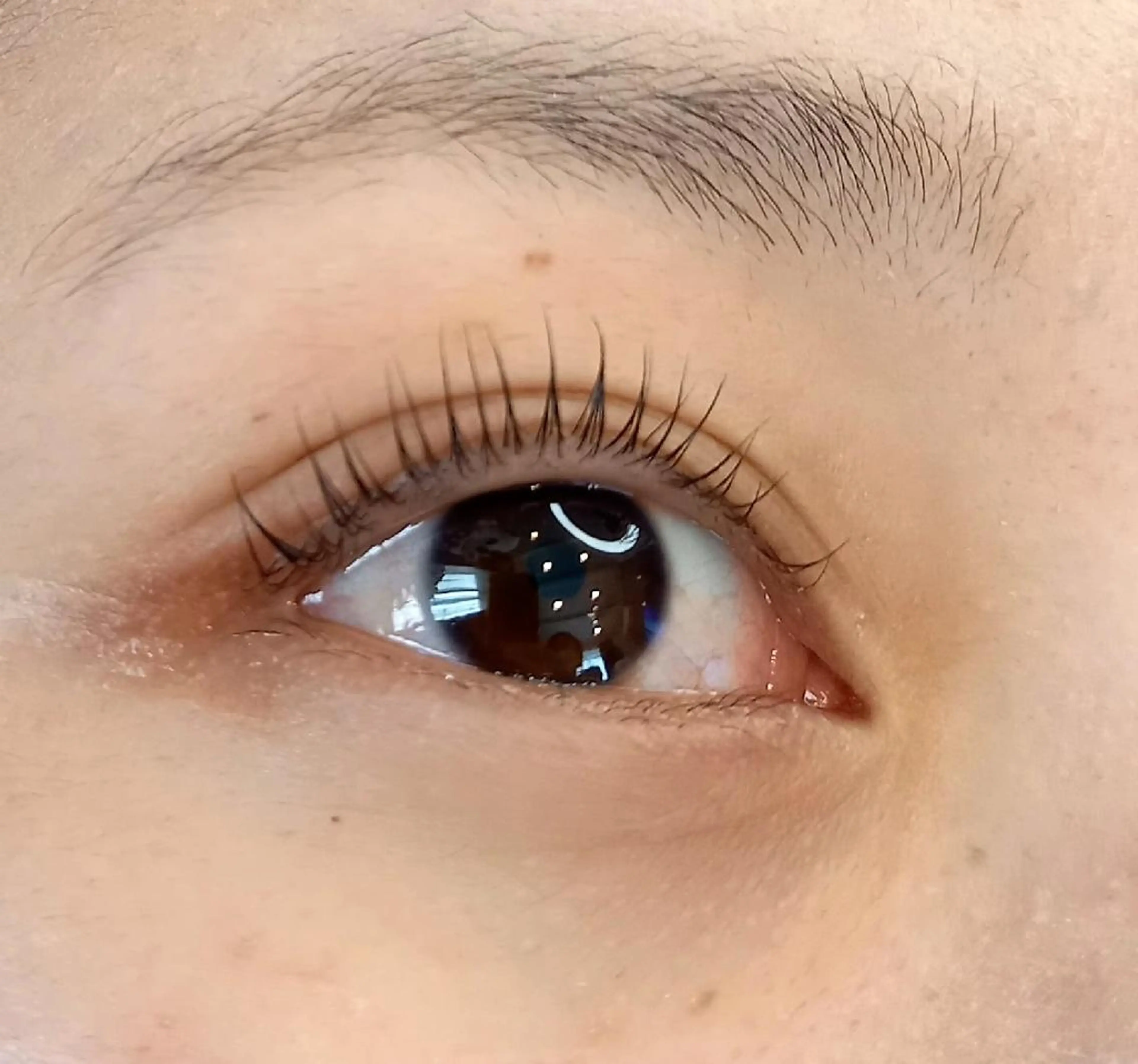 マツエク・マツパ パリジェンヌラッシュリフト ボリュームラッシュ Private eyelashsalon meer所属・meer (メーア)のマツエク・マツパデザイン