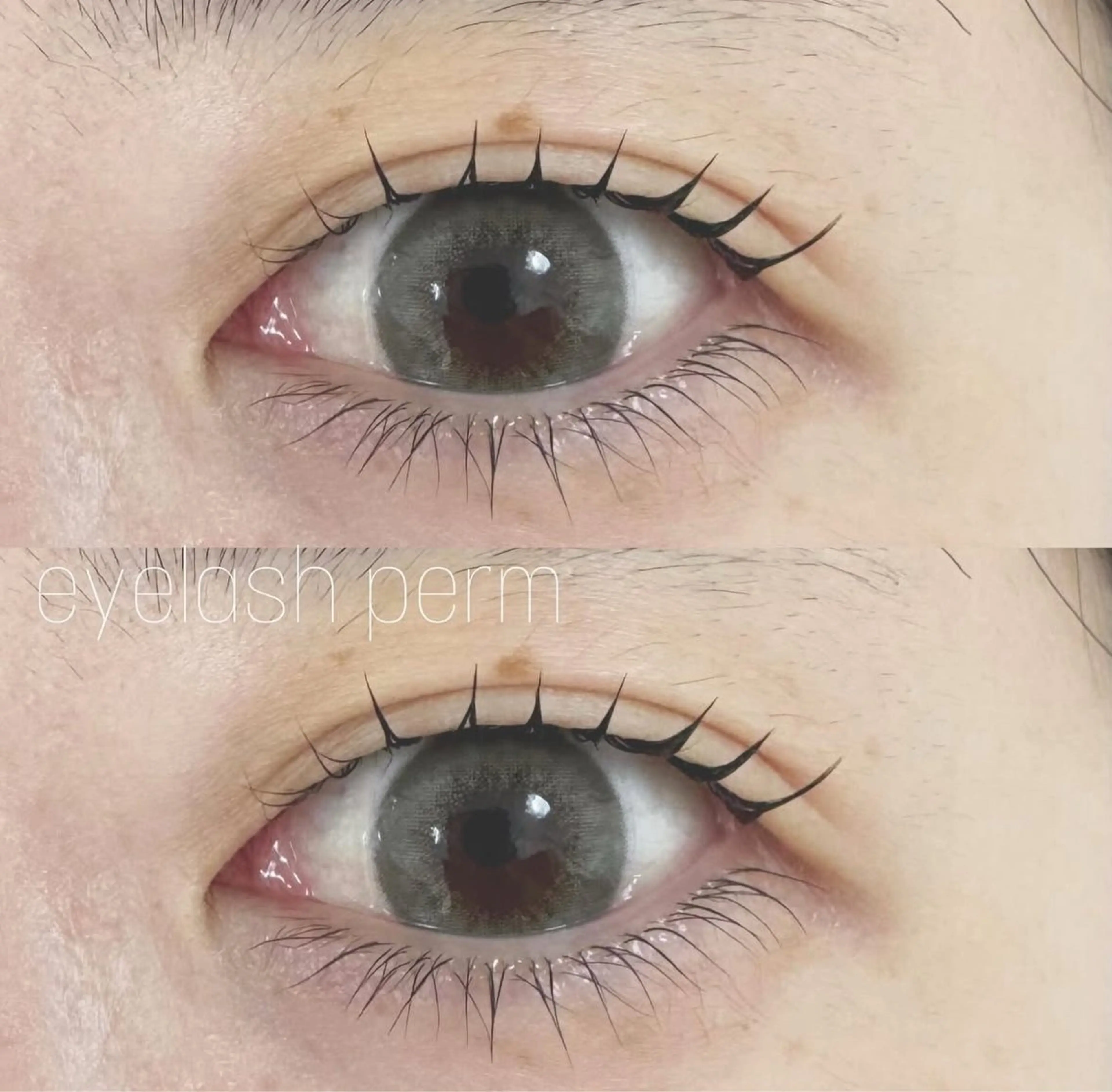 マツエク・マツパ Aspii nail&eyelash所属・Aspii 🌼Aya🌼のマツエク・マツパデザイン