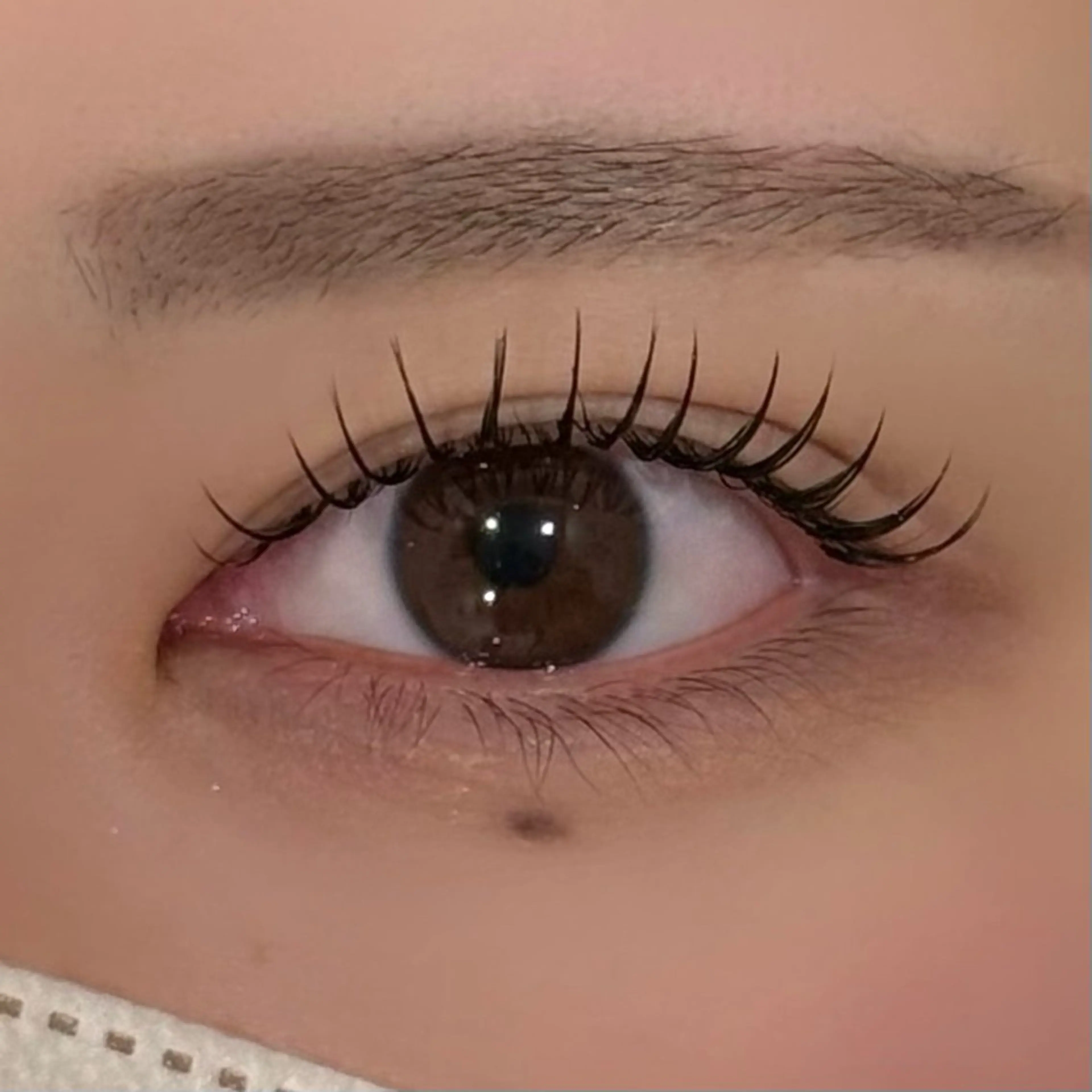 マツエク・マツパ まつげパーマ 高持続パーマ× 骨格分析眉毛mikiのマツエク・マツパデザイン