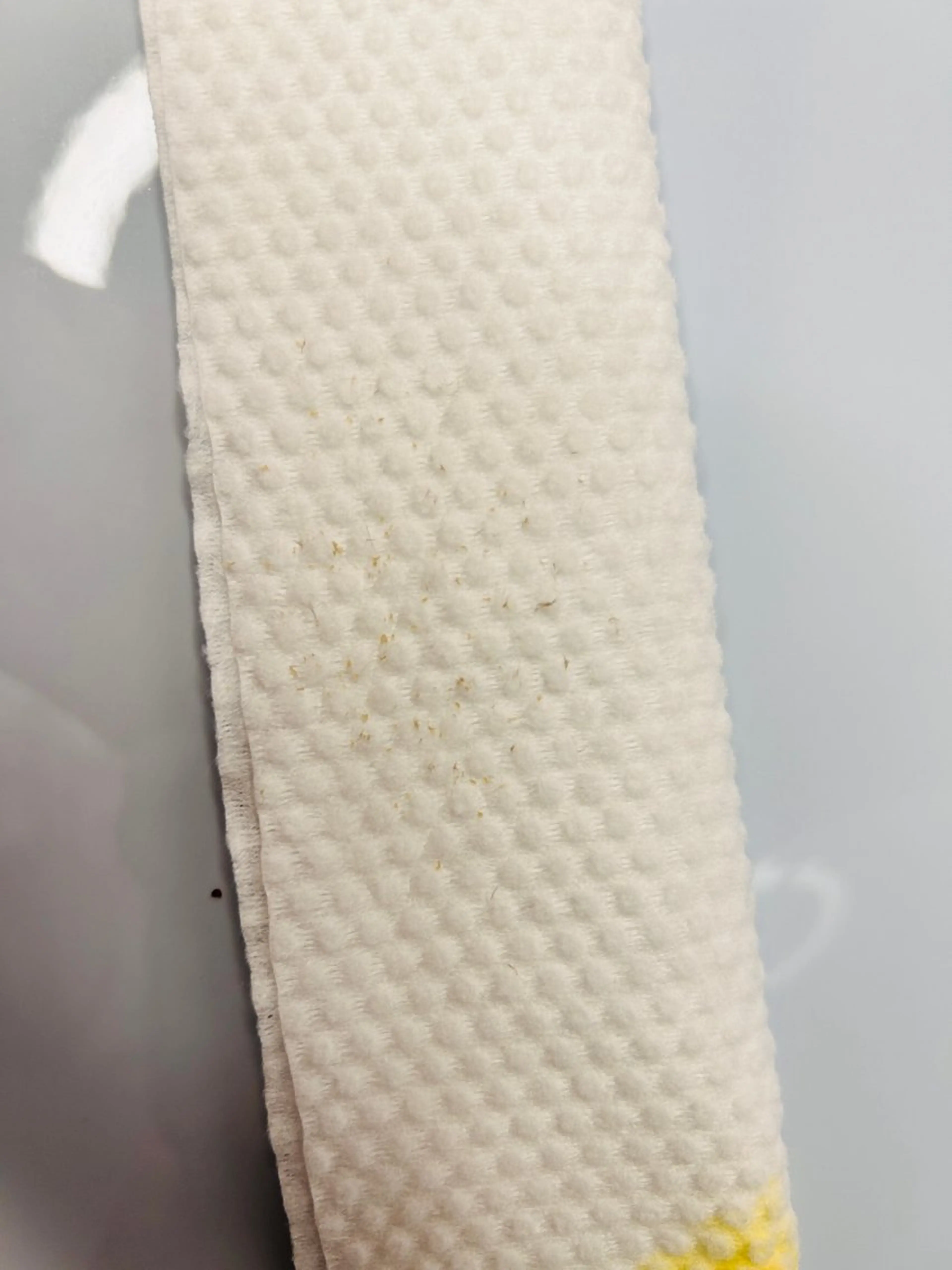 Beauty Zion所属・Beauty Zionのエステ・リラクイメージ