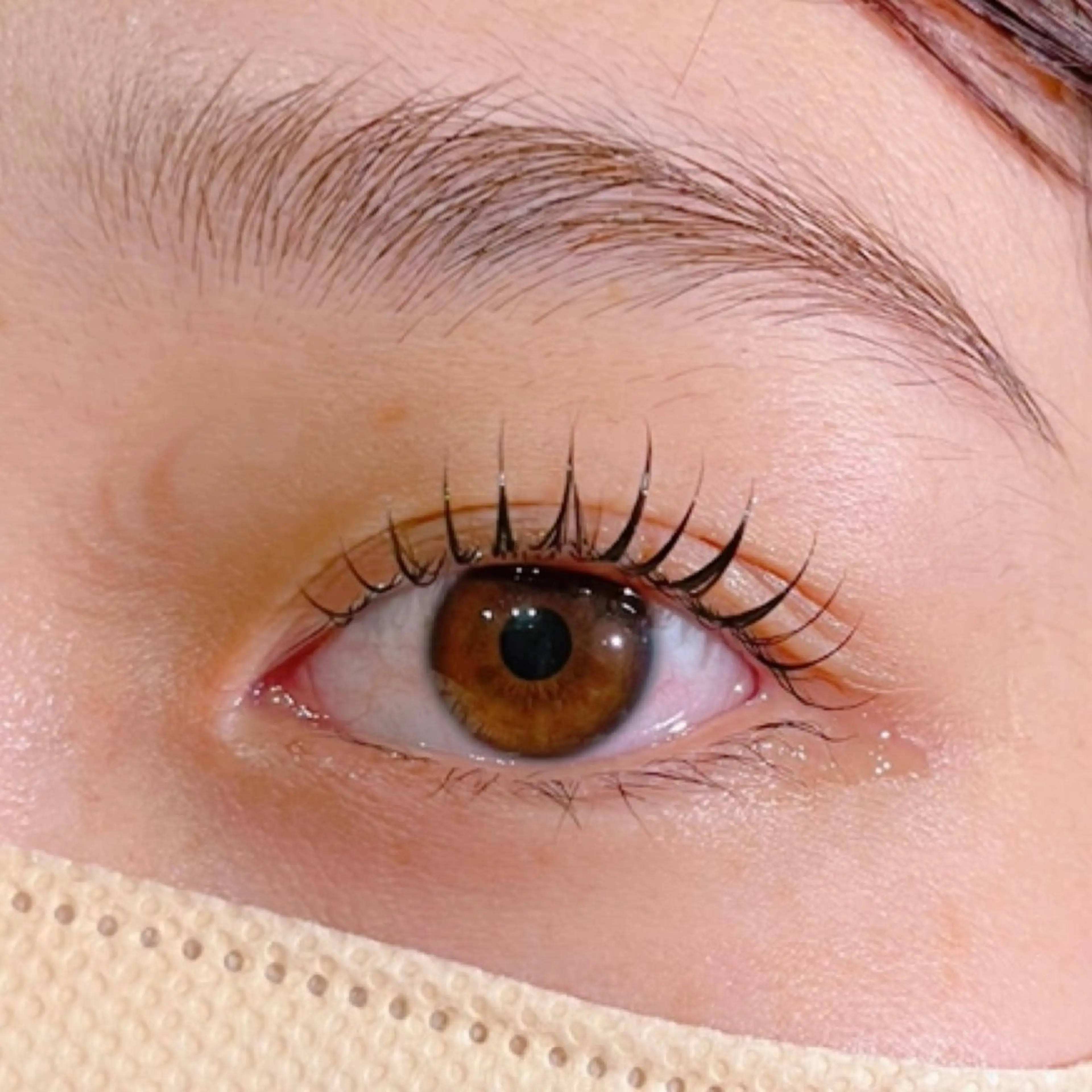 マツエク・マツパ マツパ 𝐞𝐢𝐠𝐡𝐭 MAO🖤の眉毛・アイブロウイメージ