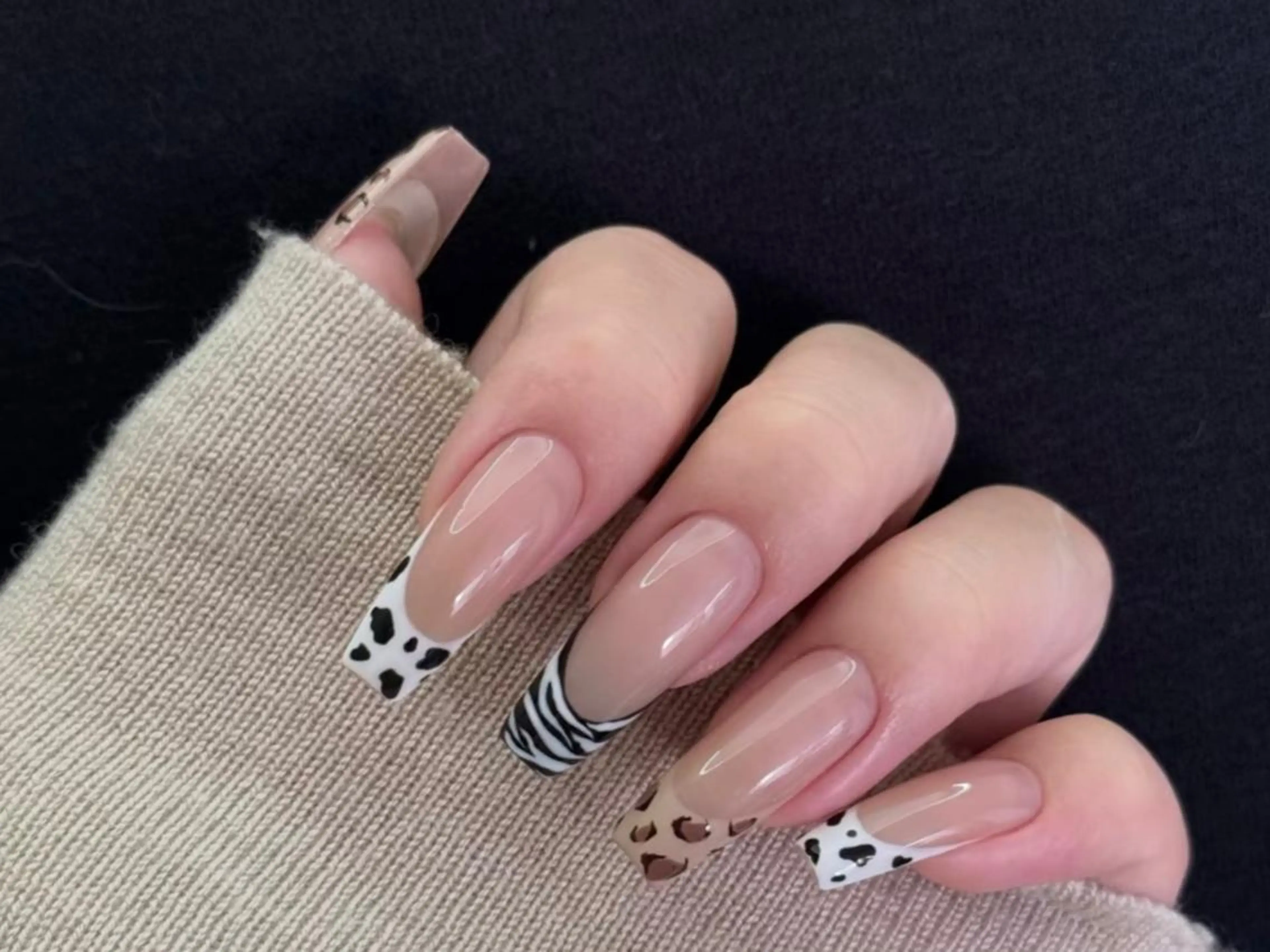 ネイル アニマル柄 カジュアル フレンチネイル ロングネイル ネイルチップ ハンドネイル ハンドケア 💅 NikoNikoのネイルデザイン