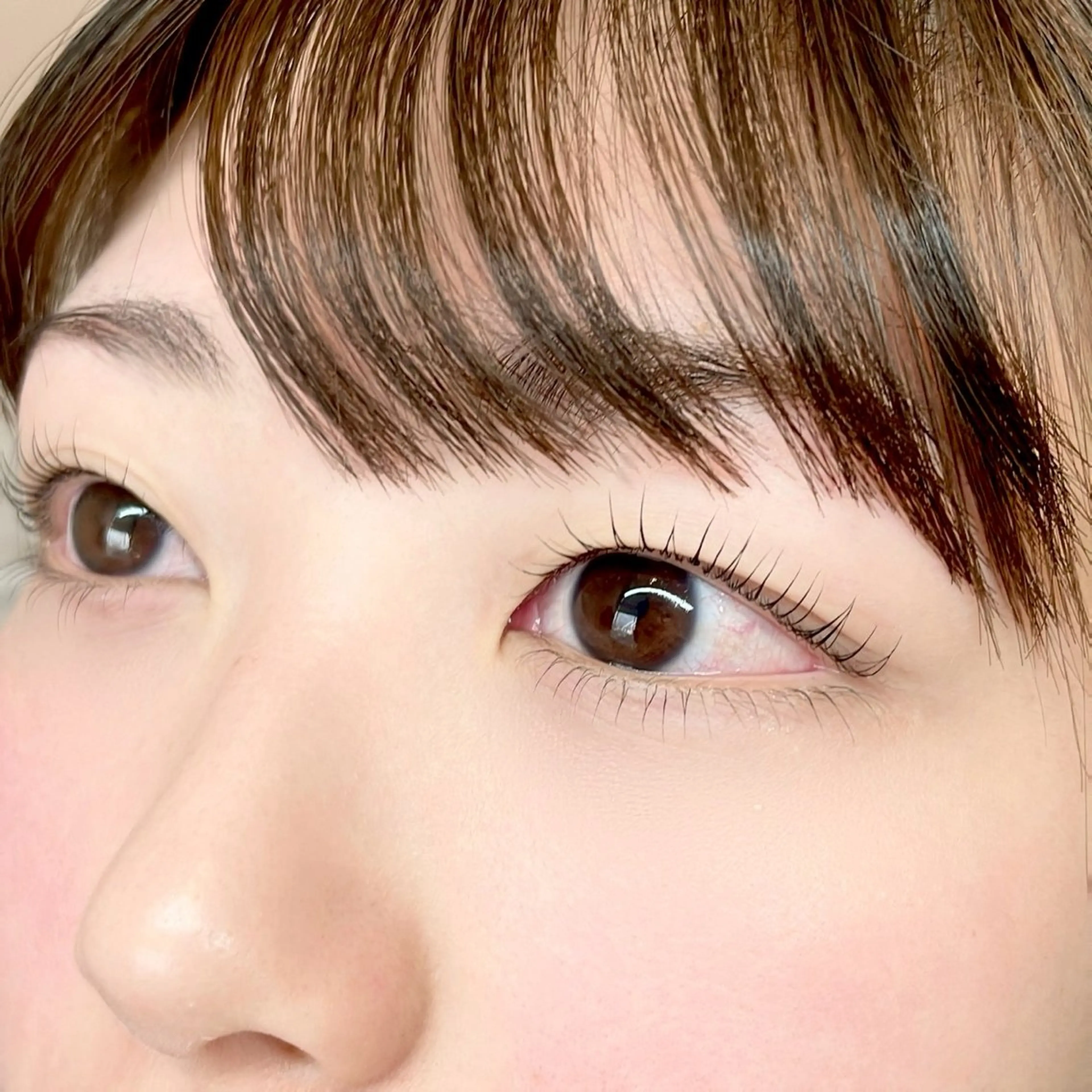 マツエク・マツパ マツパ コルフロウ アイモデル募集中の眉毛・アイブロウイメージ