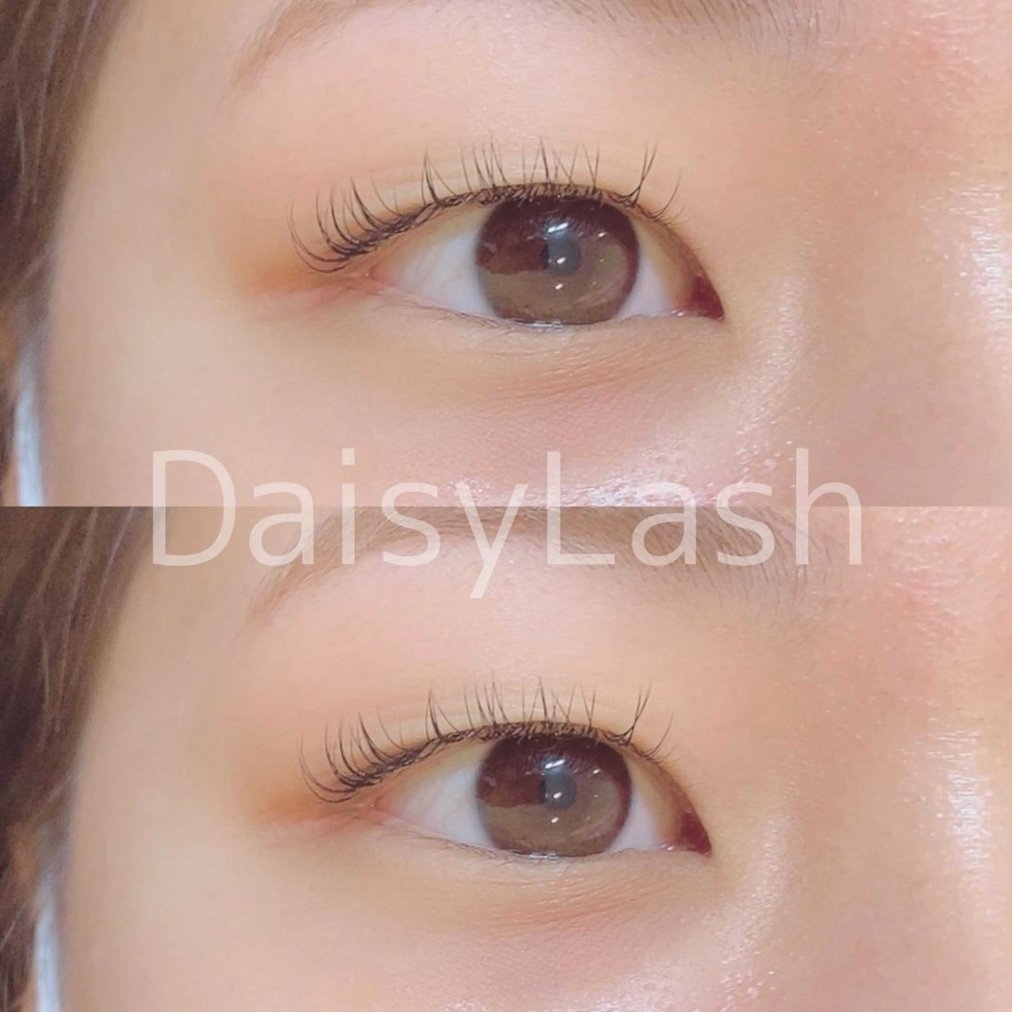 マツエク・マツパ DaisyLash 京橋店のマツエク・マツパデザイン