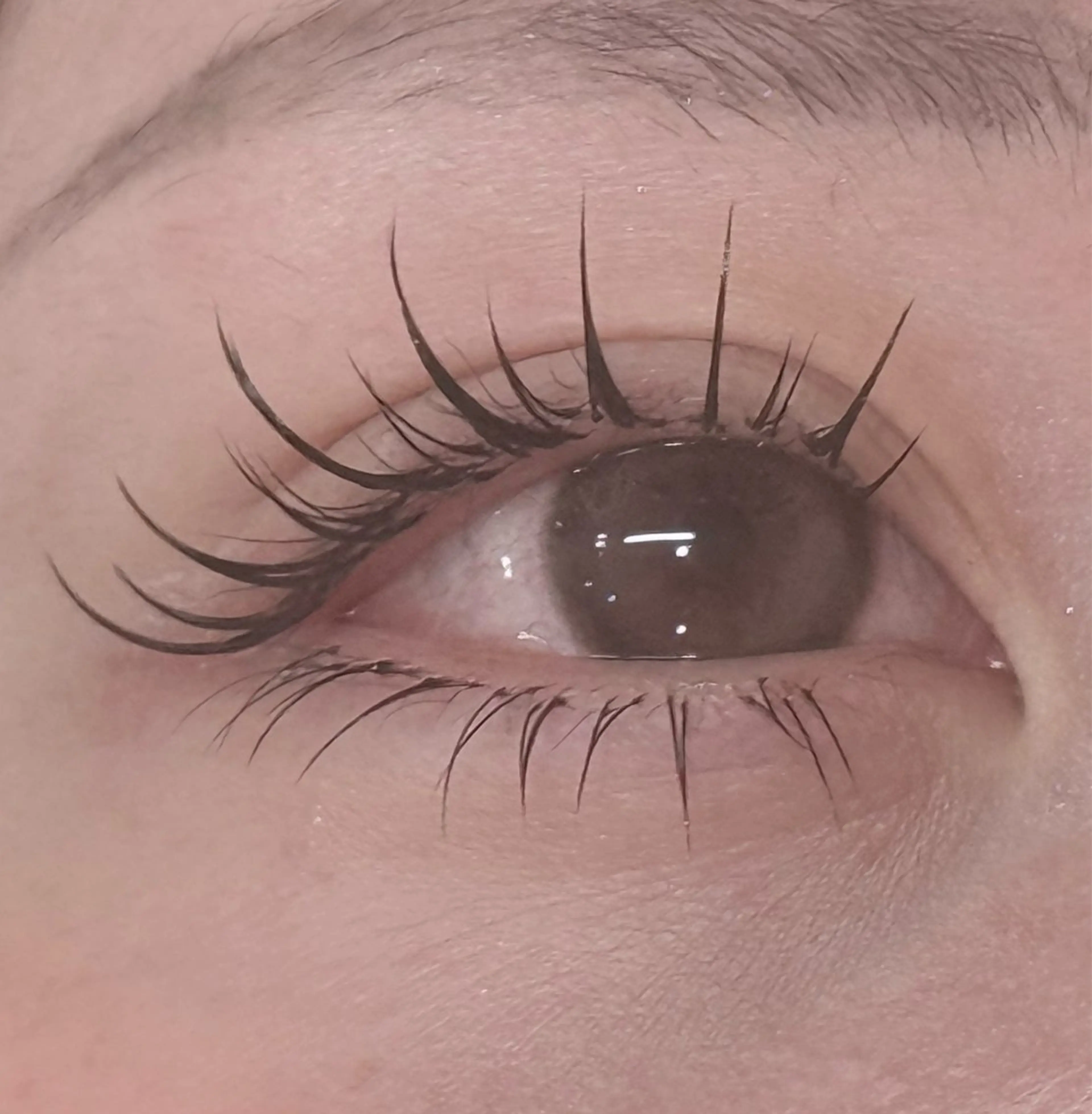 LED ワンホンお試し400本¥7980の写真