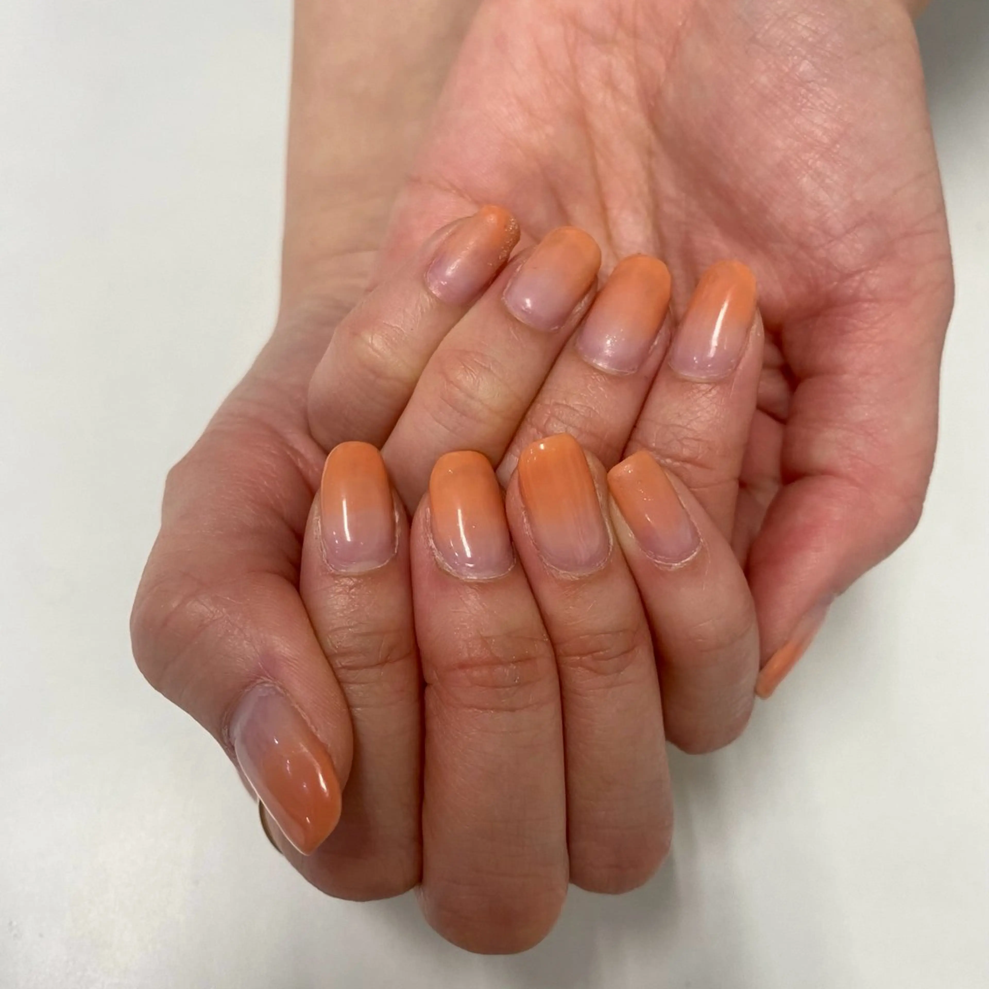 カラーグラデーションオフありの写真