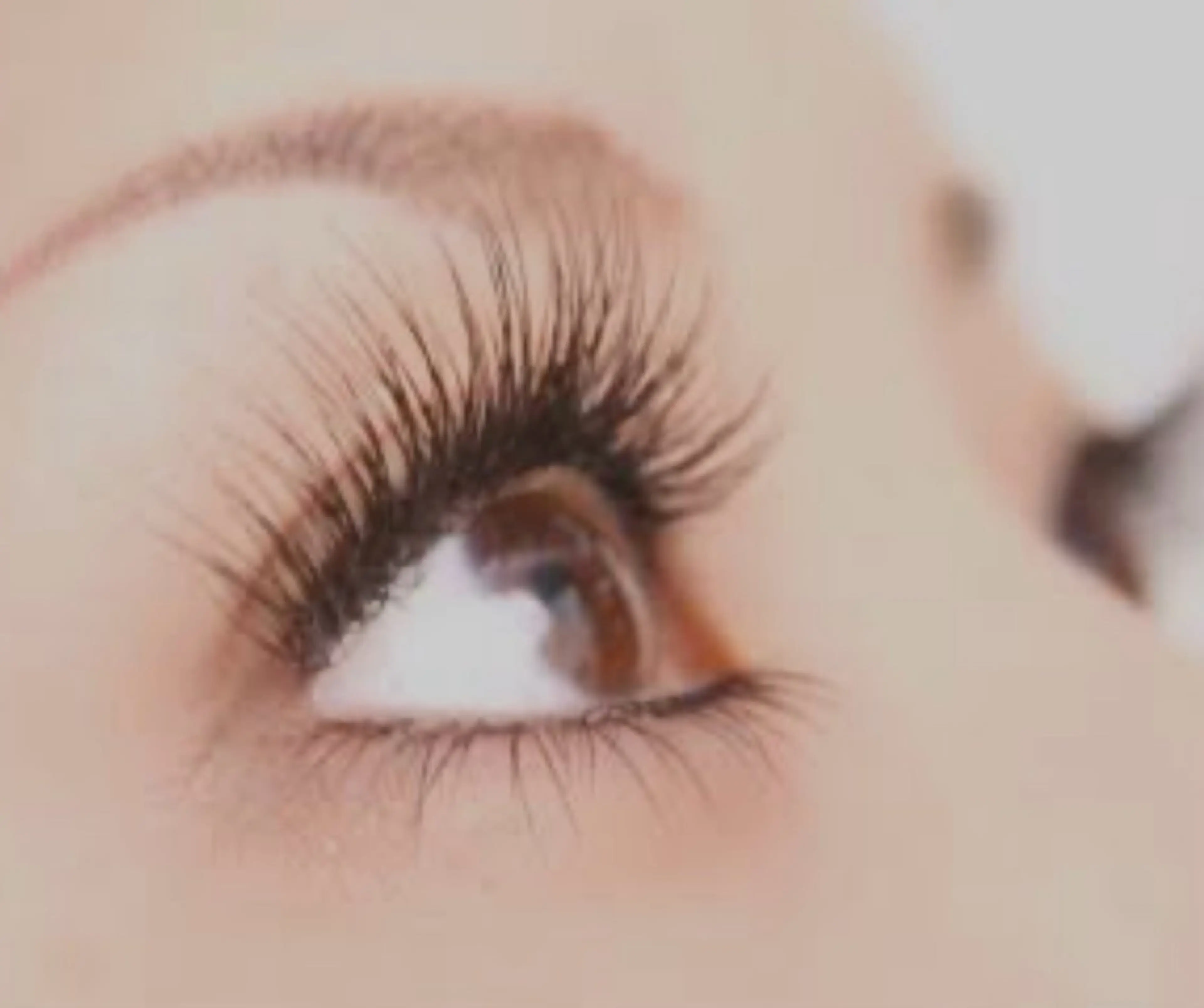 マツエク100本（オフなし）の写真