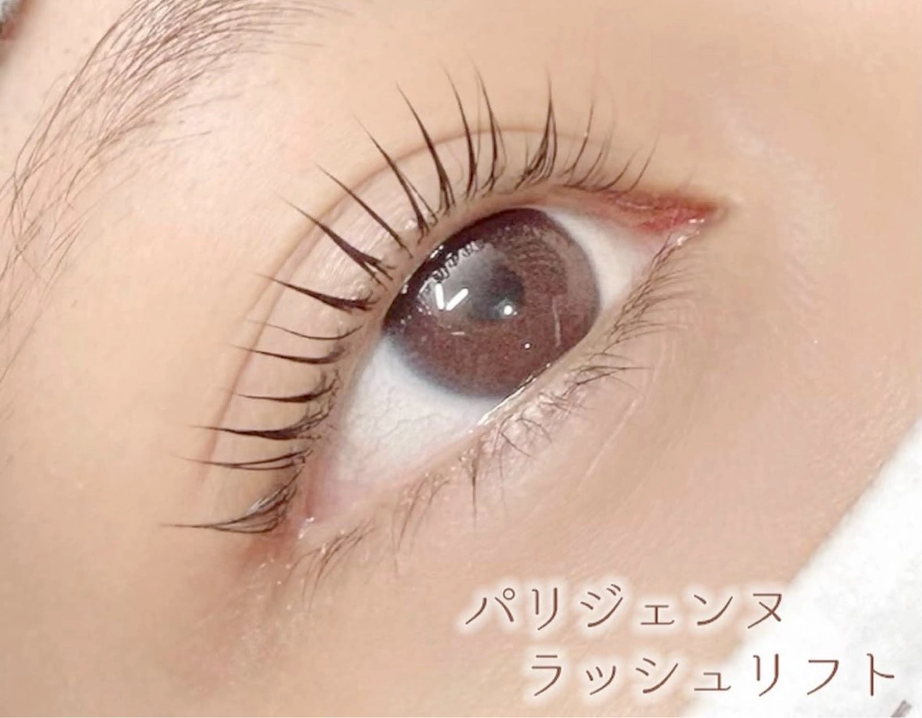 上まつげパーマ（オフなし）の写真