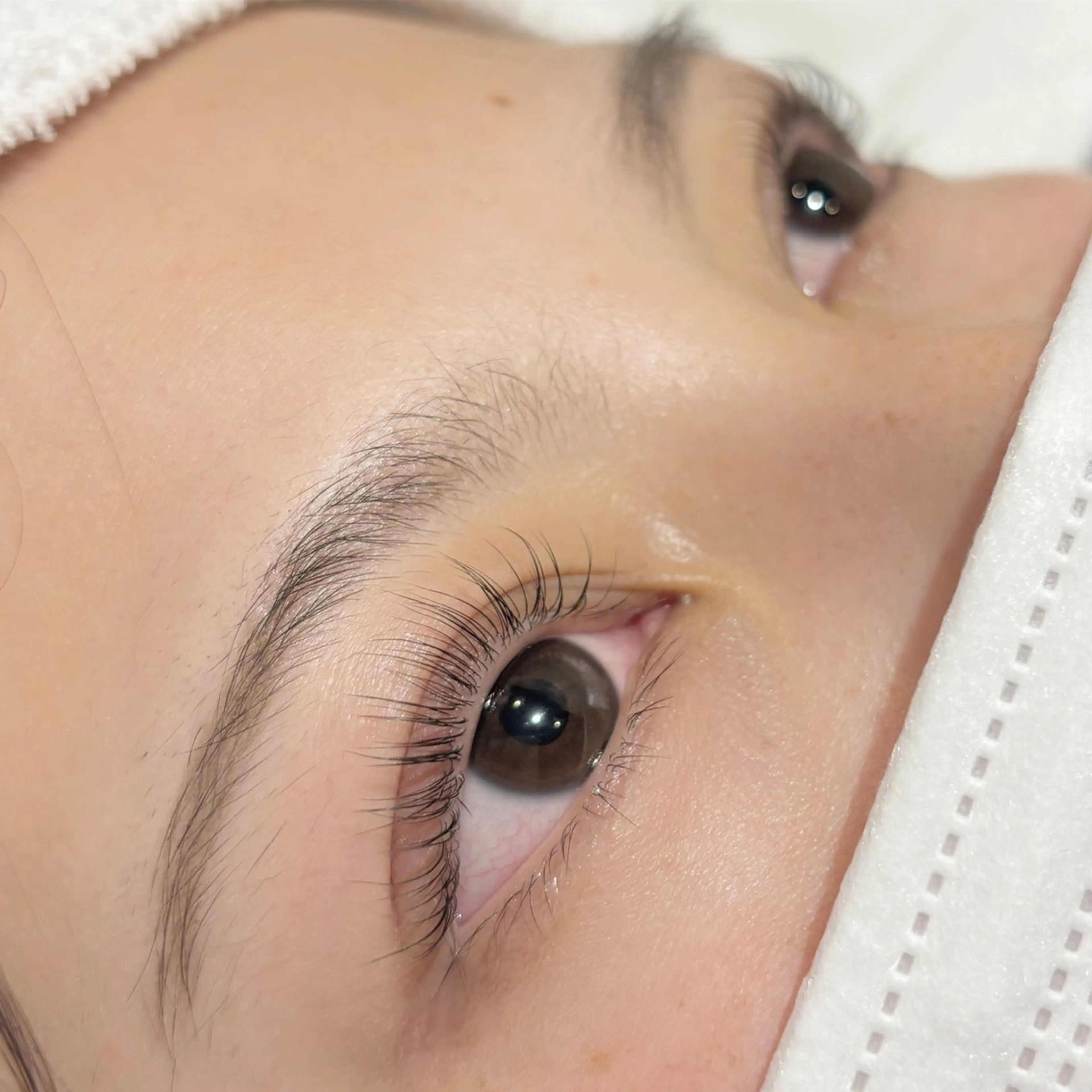 マツエク・マツパ VTGeyelash 菅家の眉毛・アイブロウイメージ