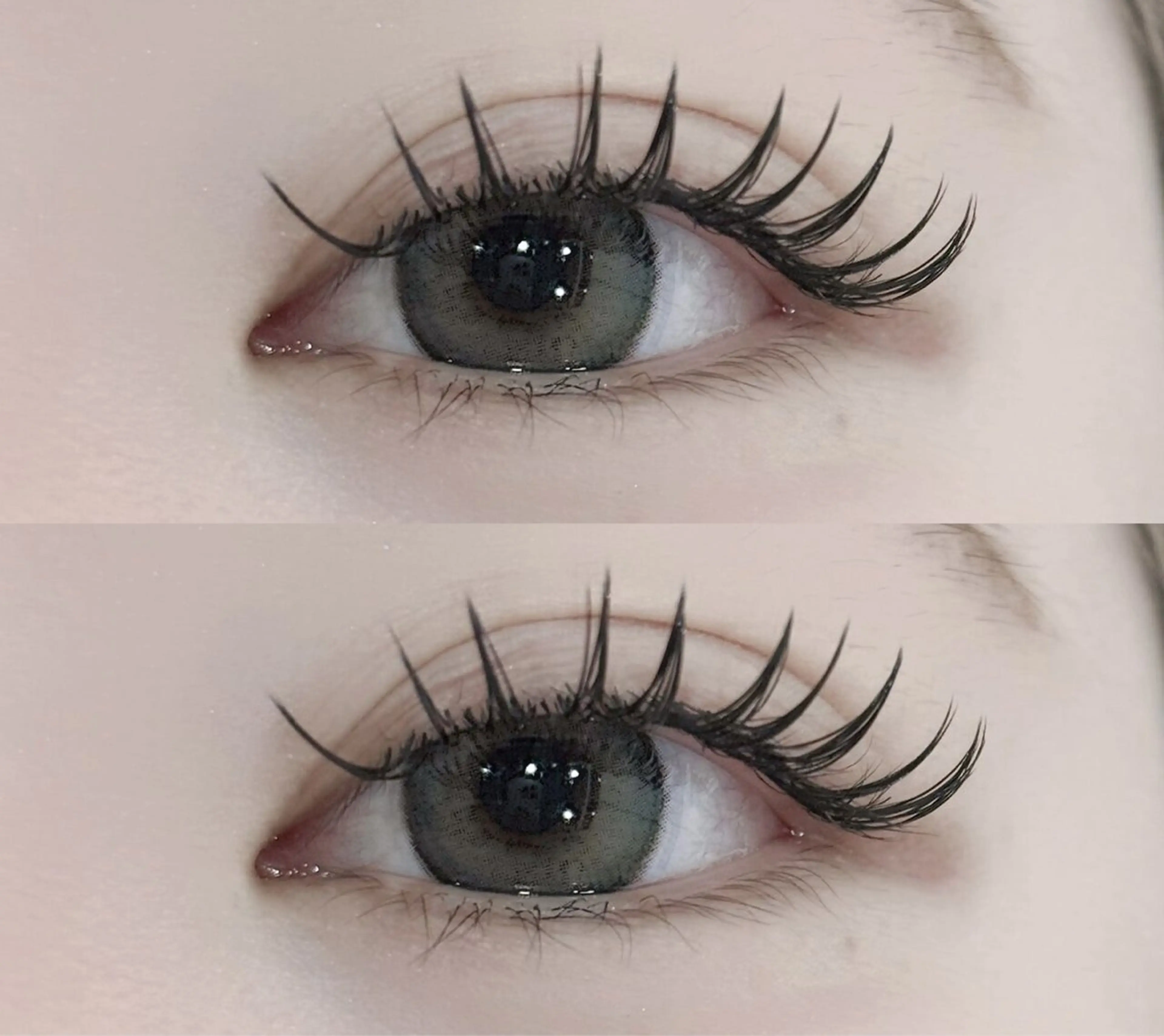 【新規様】セーブル120本¥6050/140本¥6600の写真