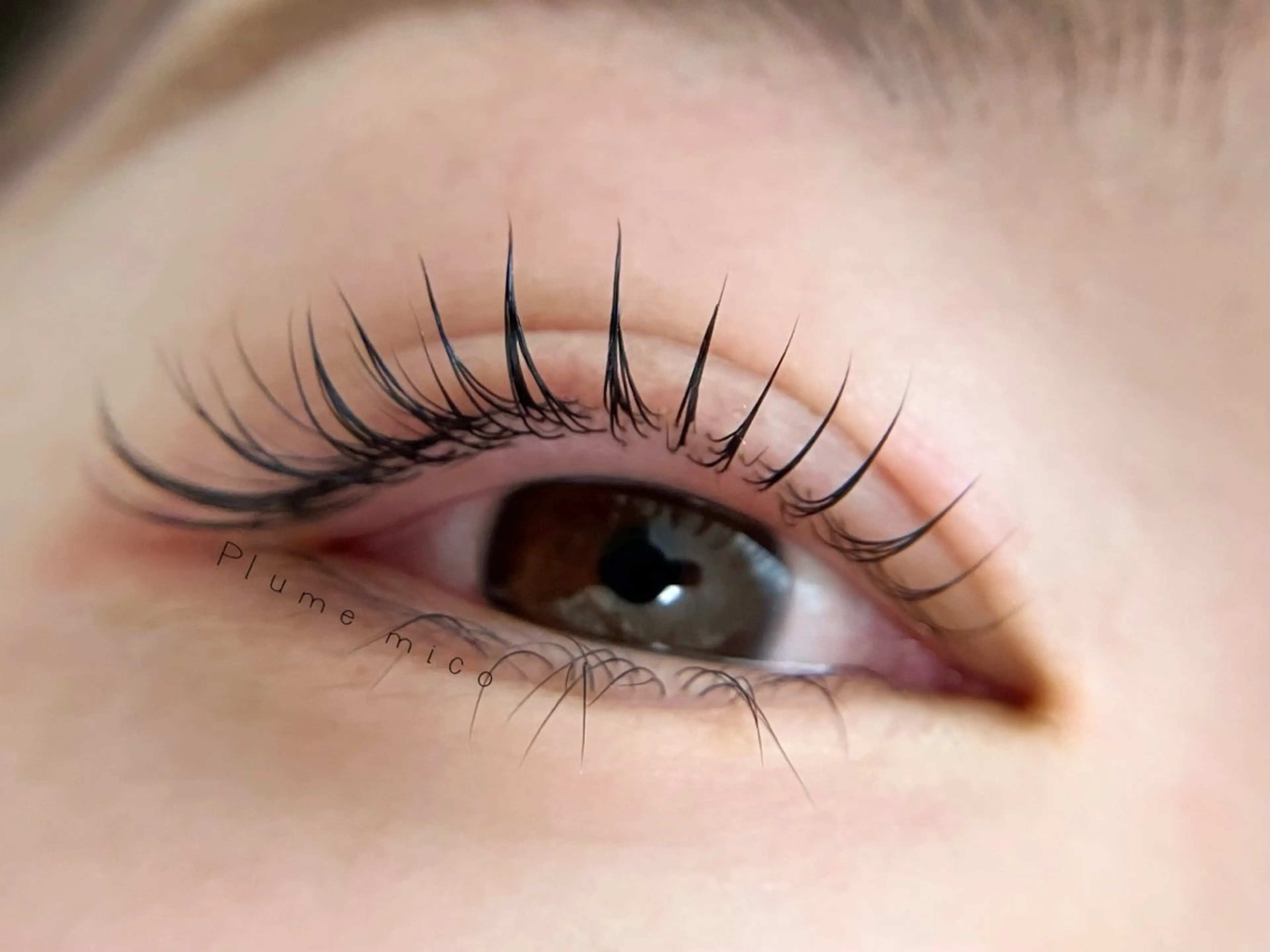 マツエク・マツパ マツパ Plume micoのマツエク・マツパデザイン