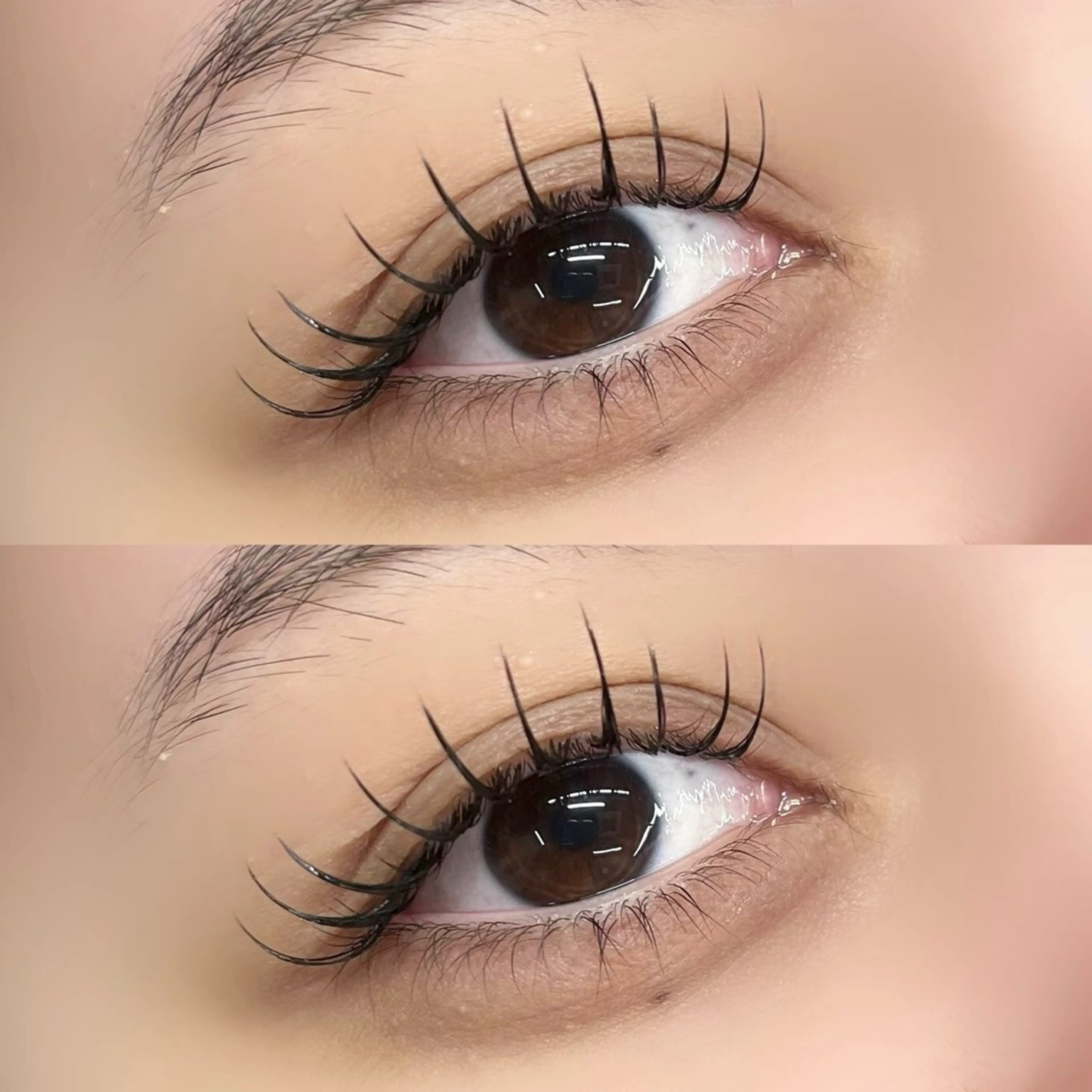 マツエク・マツパ 【LILY】伊沢/ バインド/パリ/エクのマツエク・マツパデザイン