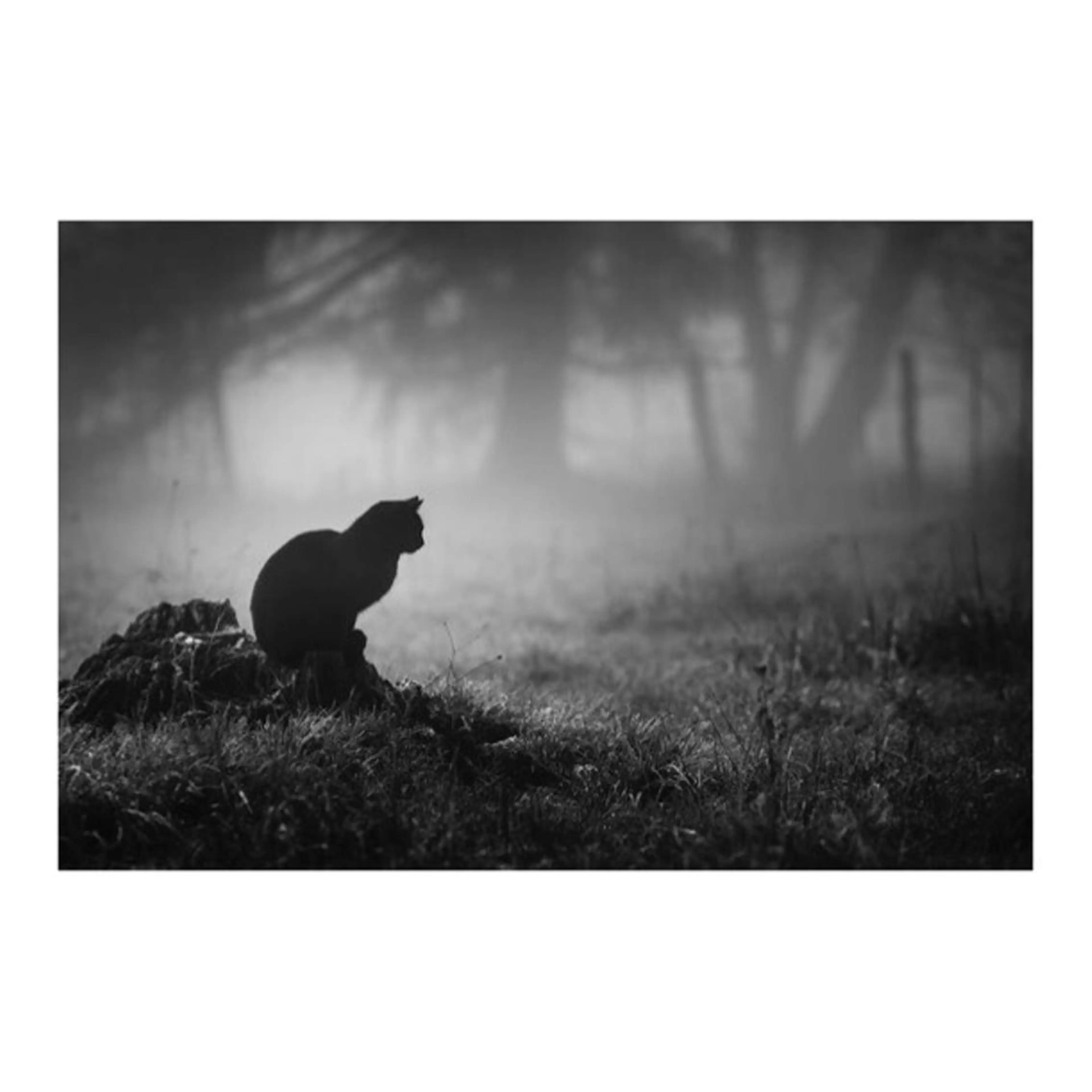 マツエク・マツパ マツエク ANNE梅田ALLYS店所属・高松 せりなのマツエク・マツパデザイン