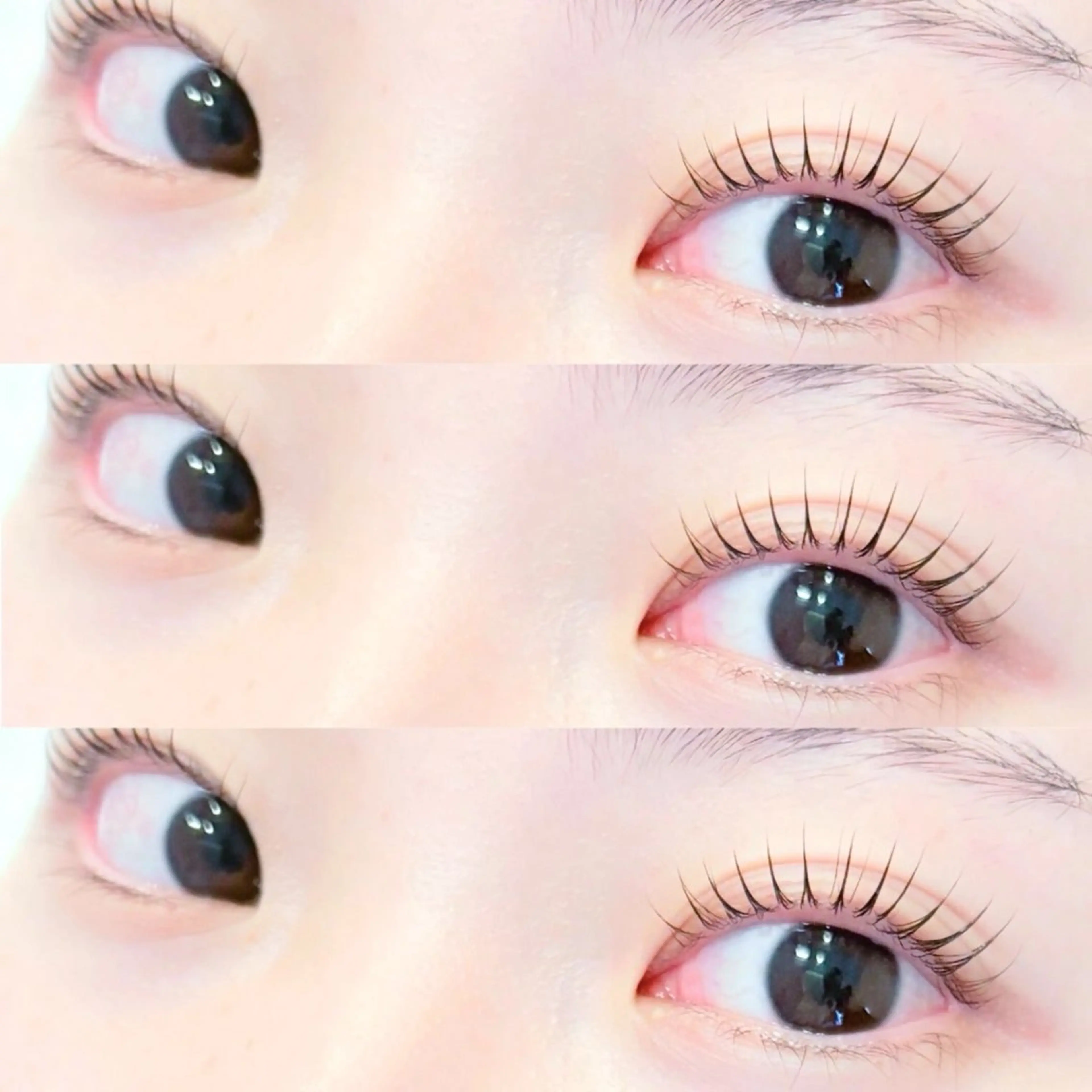 【洗浄/保湿/まつげパーマ】ケアラッシュリフト+Trコート　¥6000→の写真