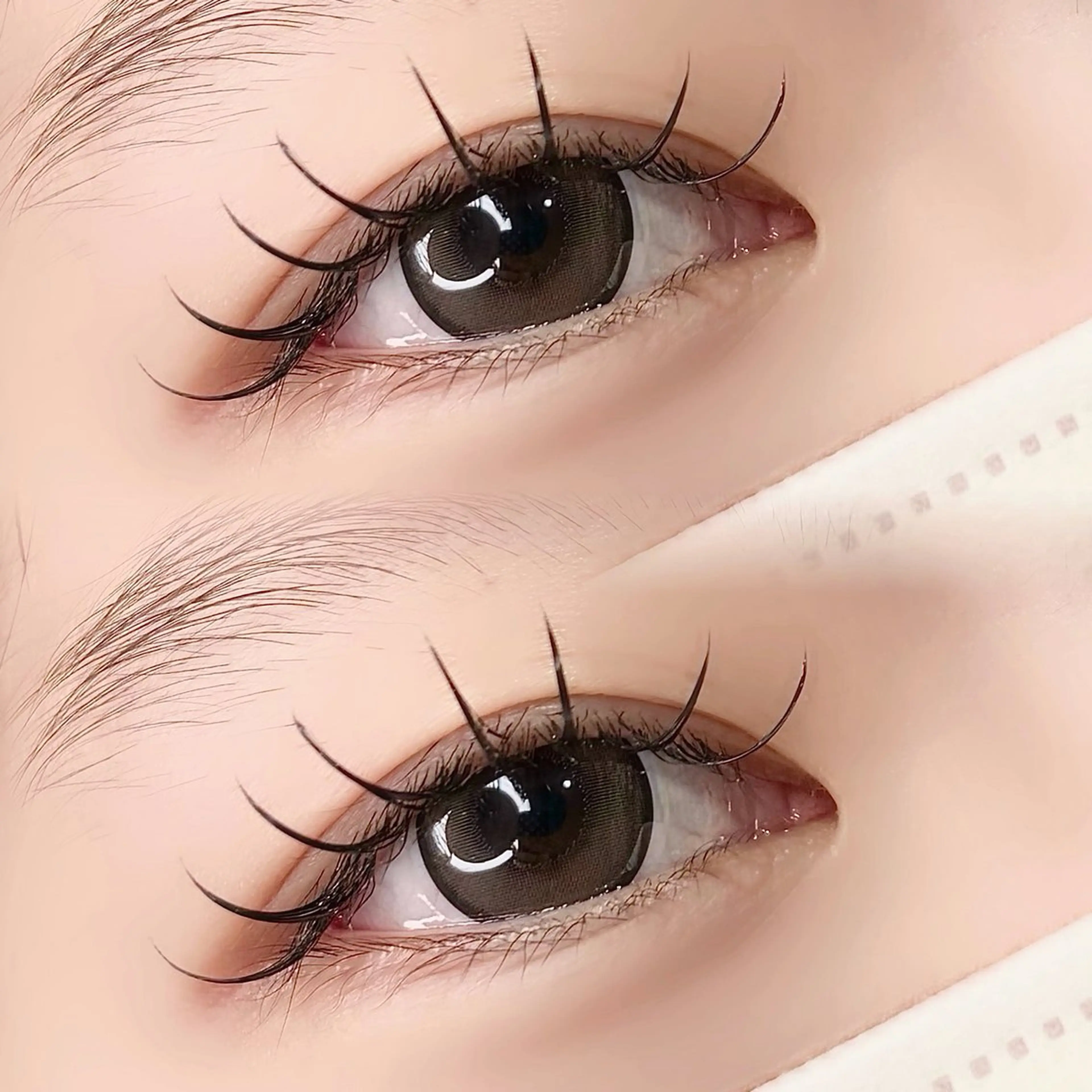 フラットラッシュ練習モデル100​〜​120本（5月10日以降¥1000）の写真