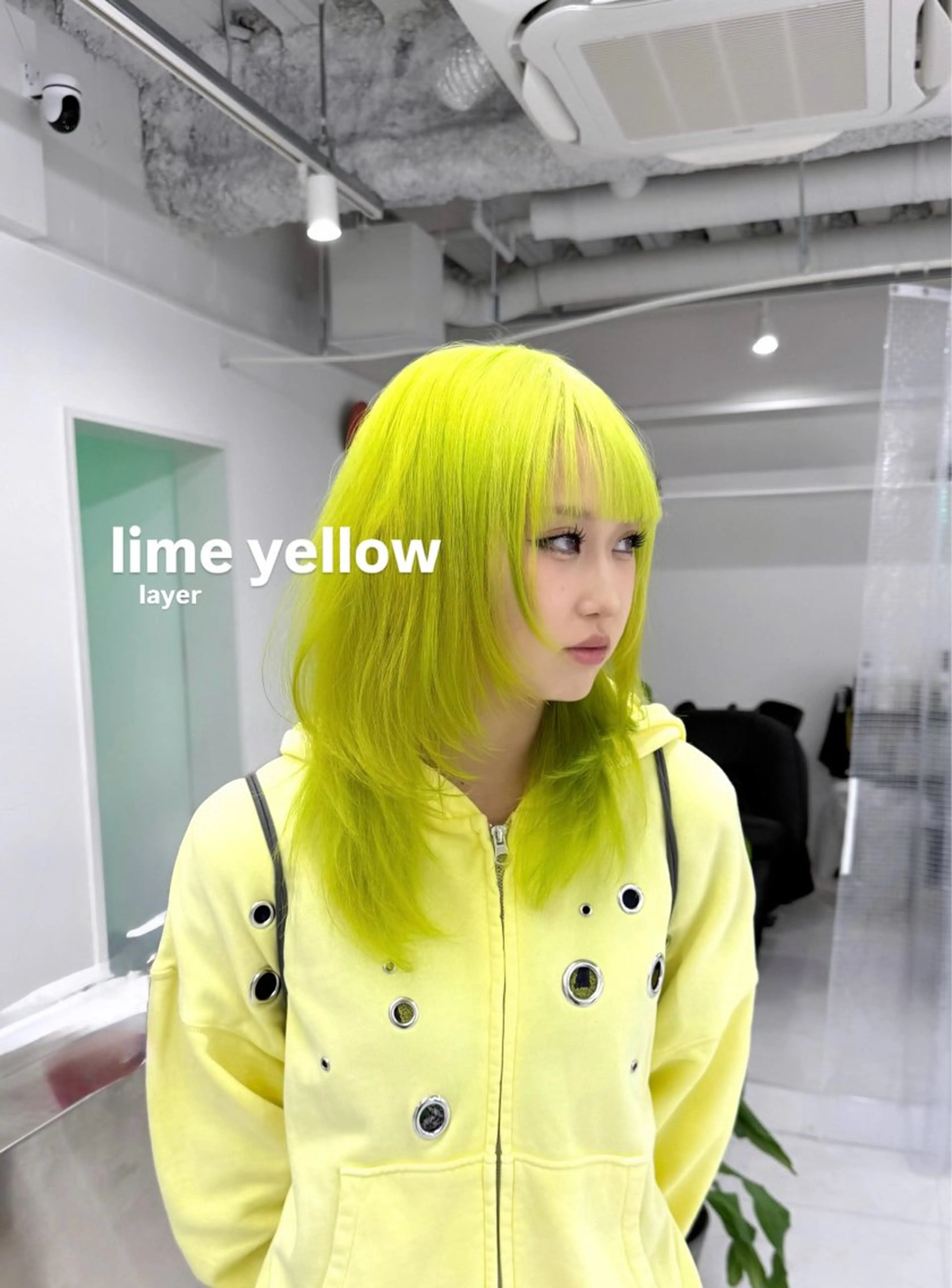 セミロング 《店長》欧米風/デ ザインNO.1/雅のヘアスタイル